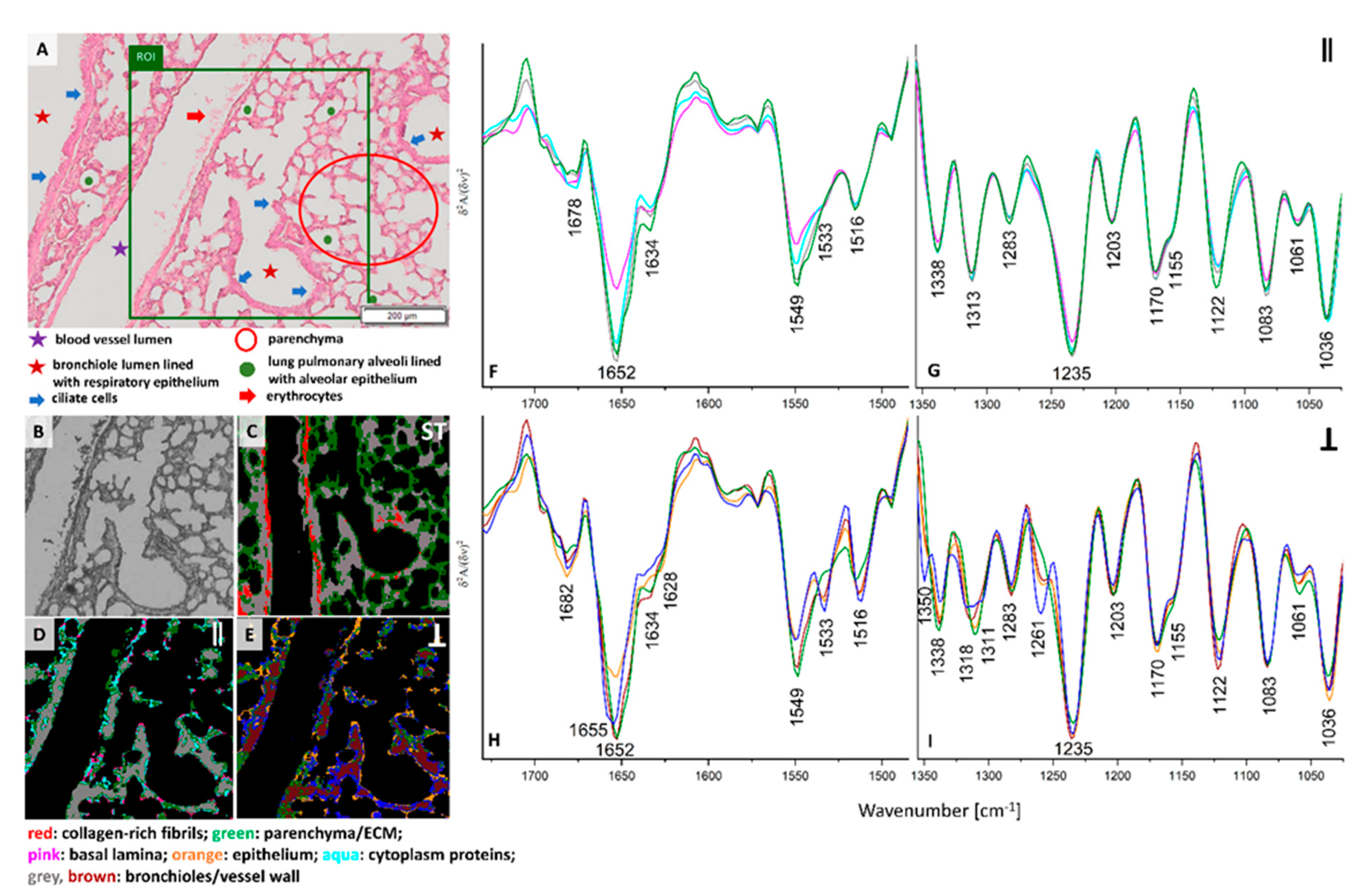 Cancers 13 00162 g001