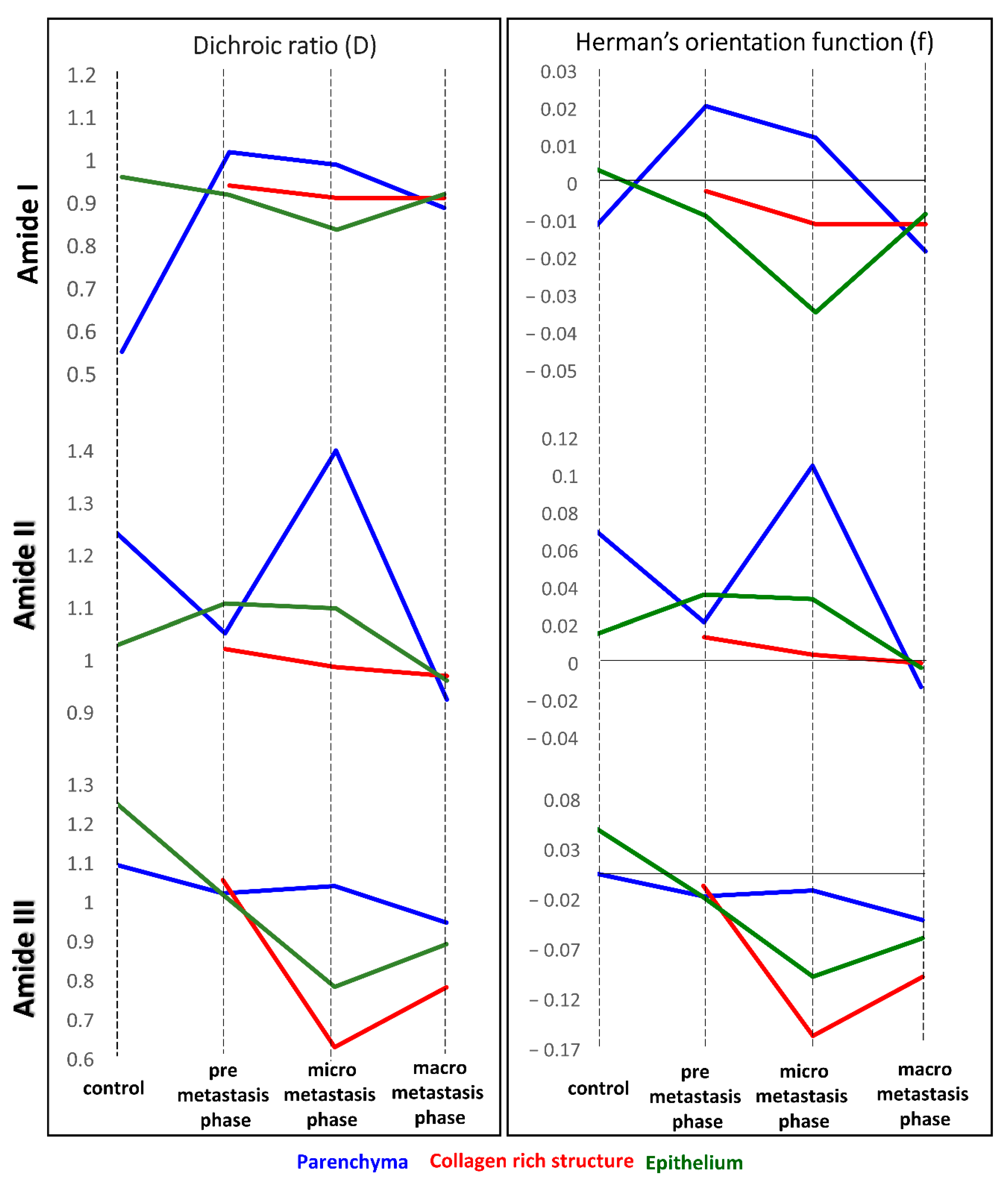 Cancers 13 00162 g005