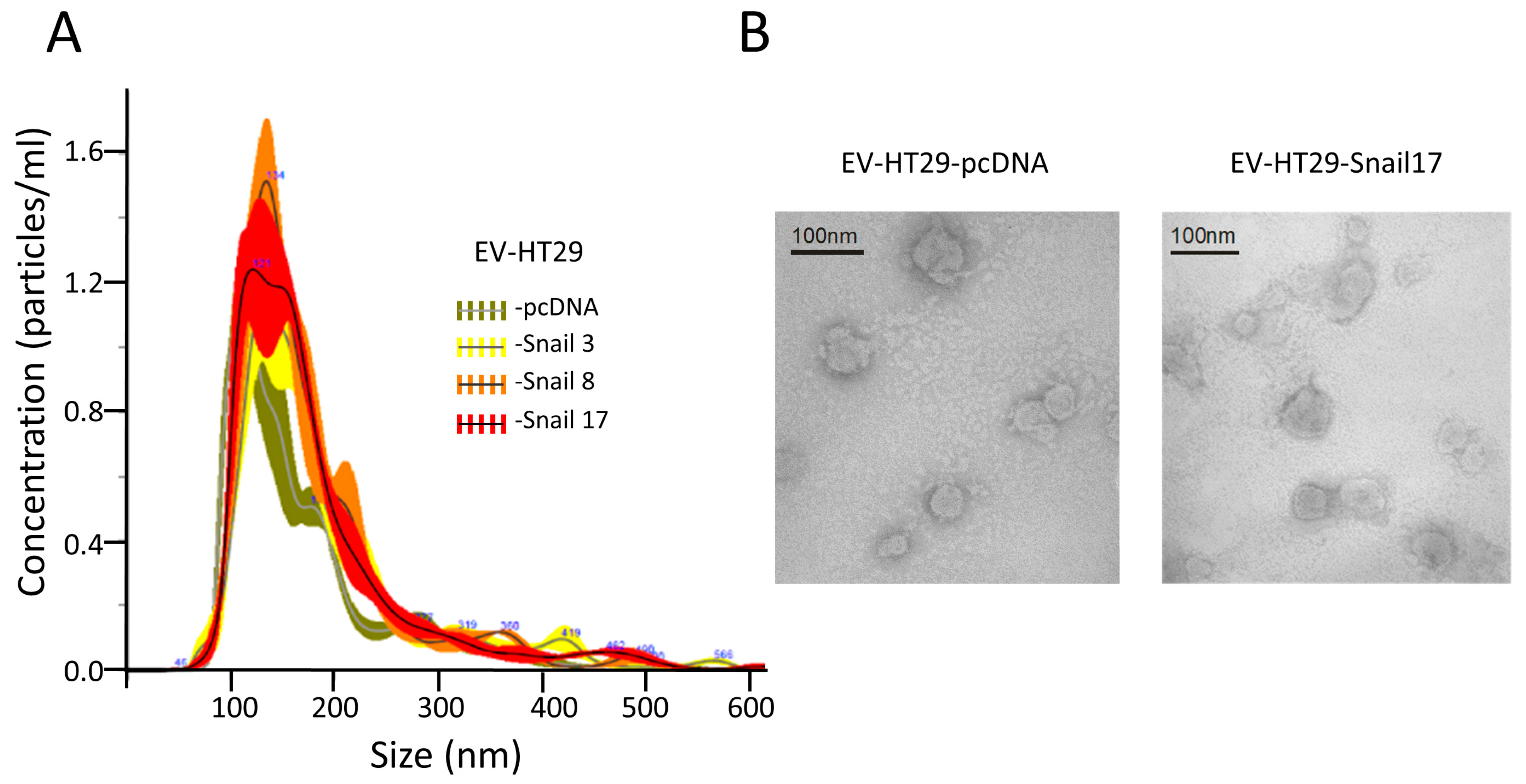 Cancers 13 00172 g001 Cancers 13 00172 g001