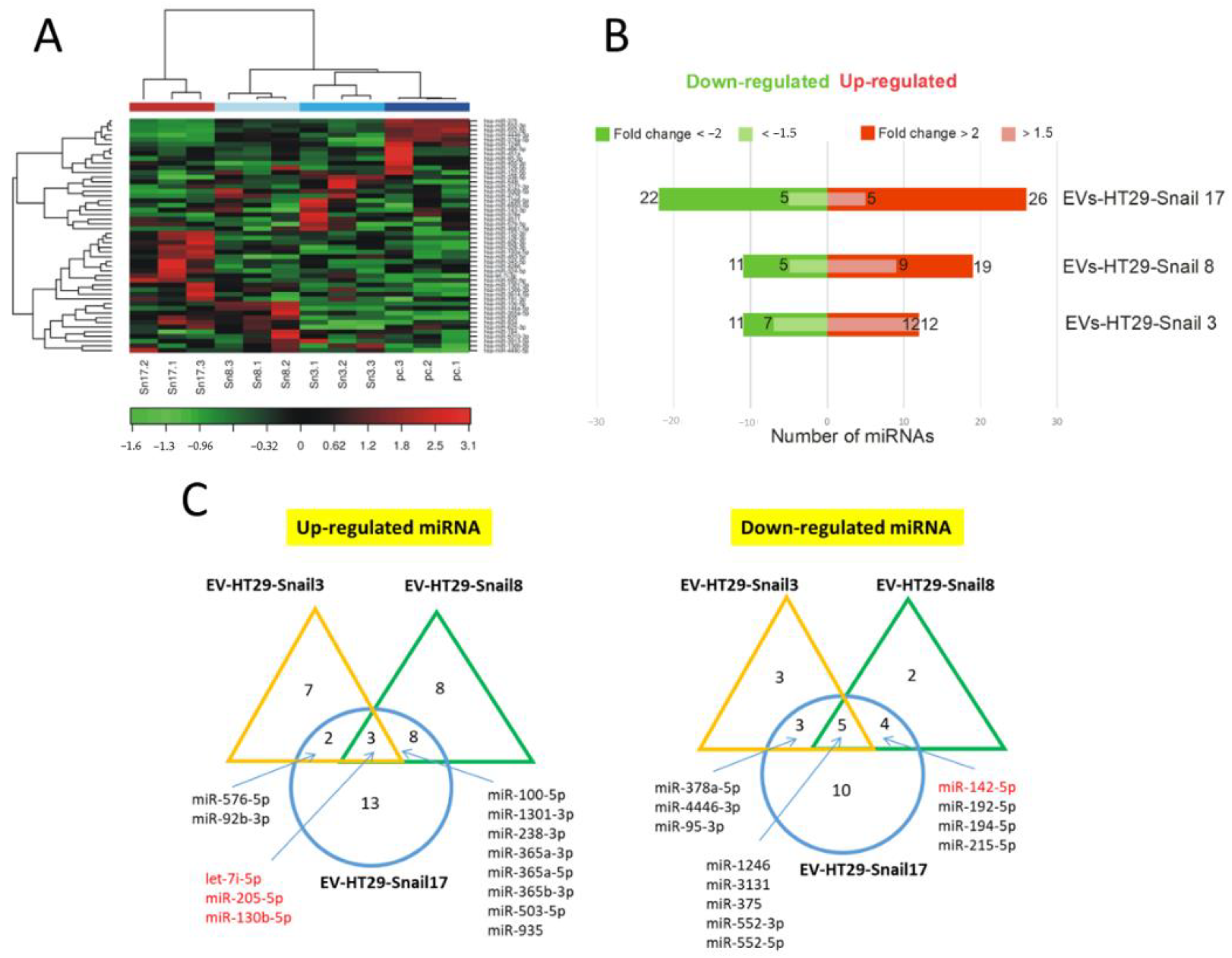 Cancers 13 00172 g002 Cancers 13 00172 g002