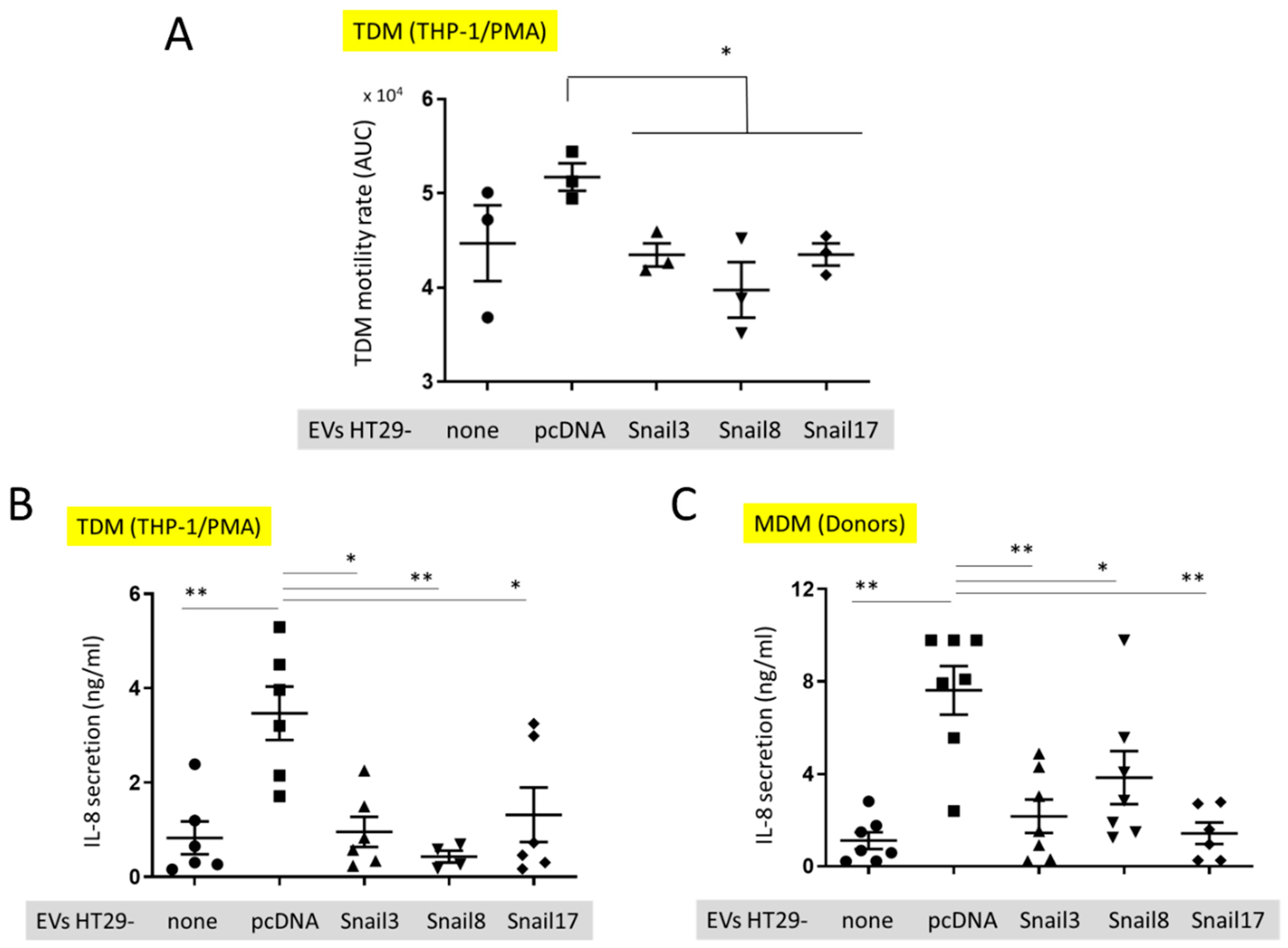 Cancers 13 00172 g005 Cancers 13 00172 g005