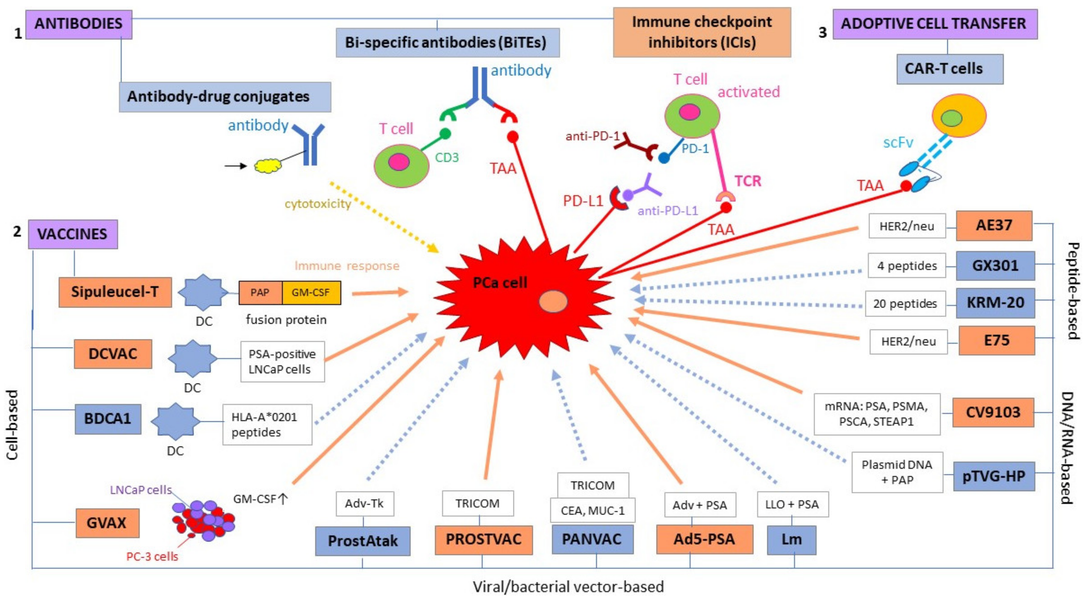 Cancers 13 00173 g001 Cancers 13 00173 g001