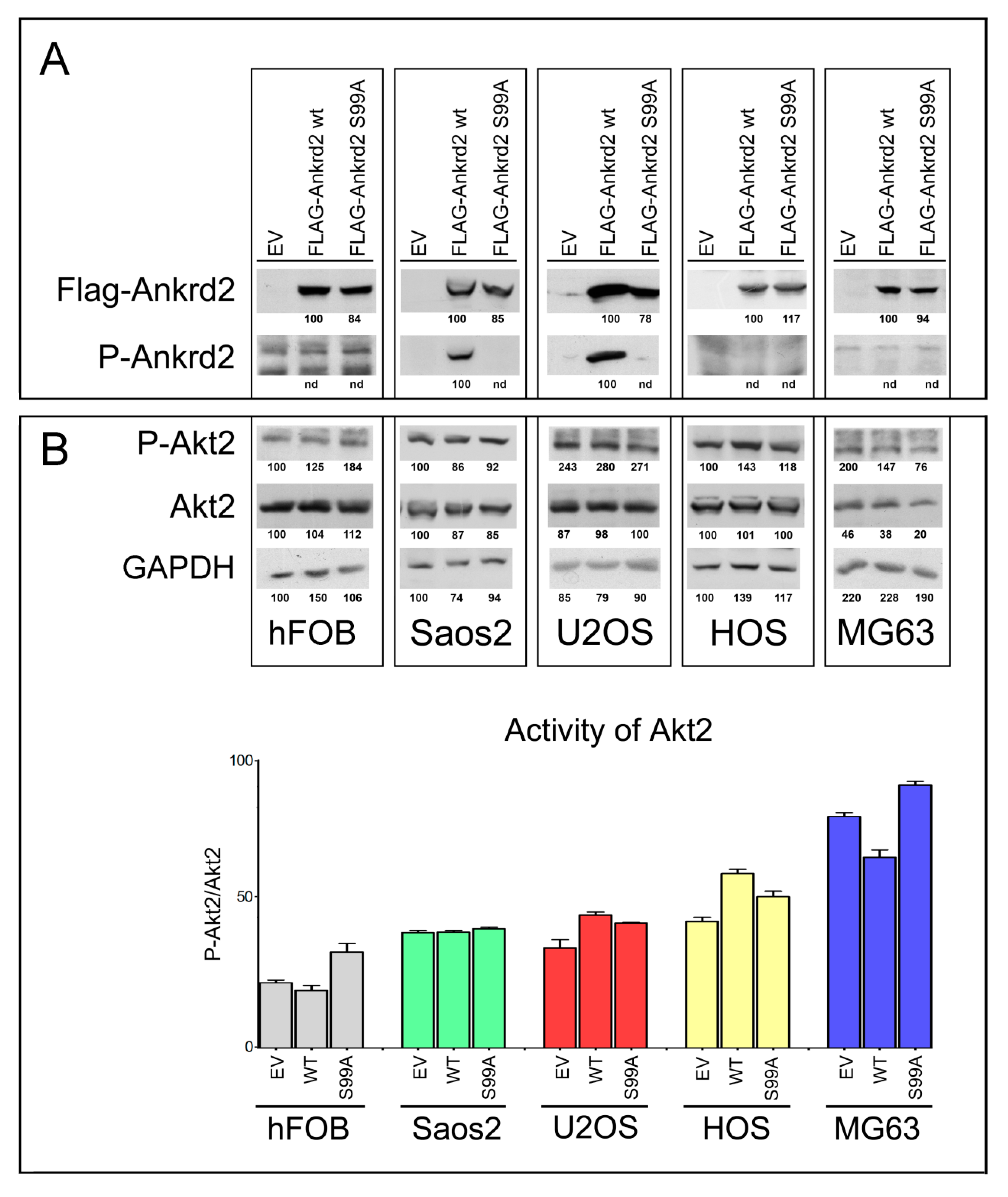 Cancers 13 00174 g002 Cancers 13 00174 g002