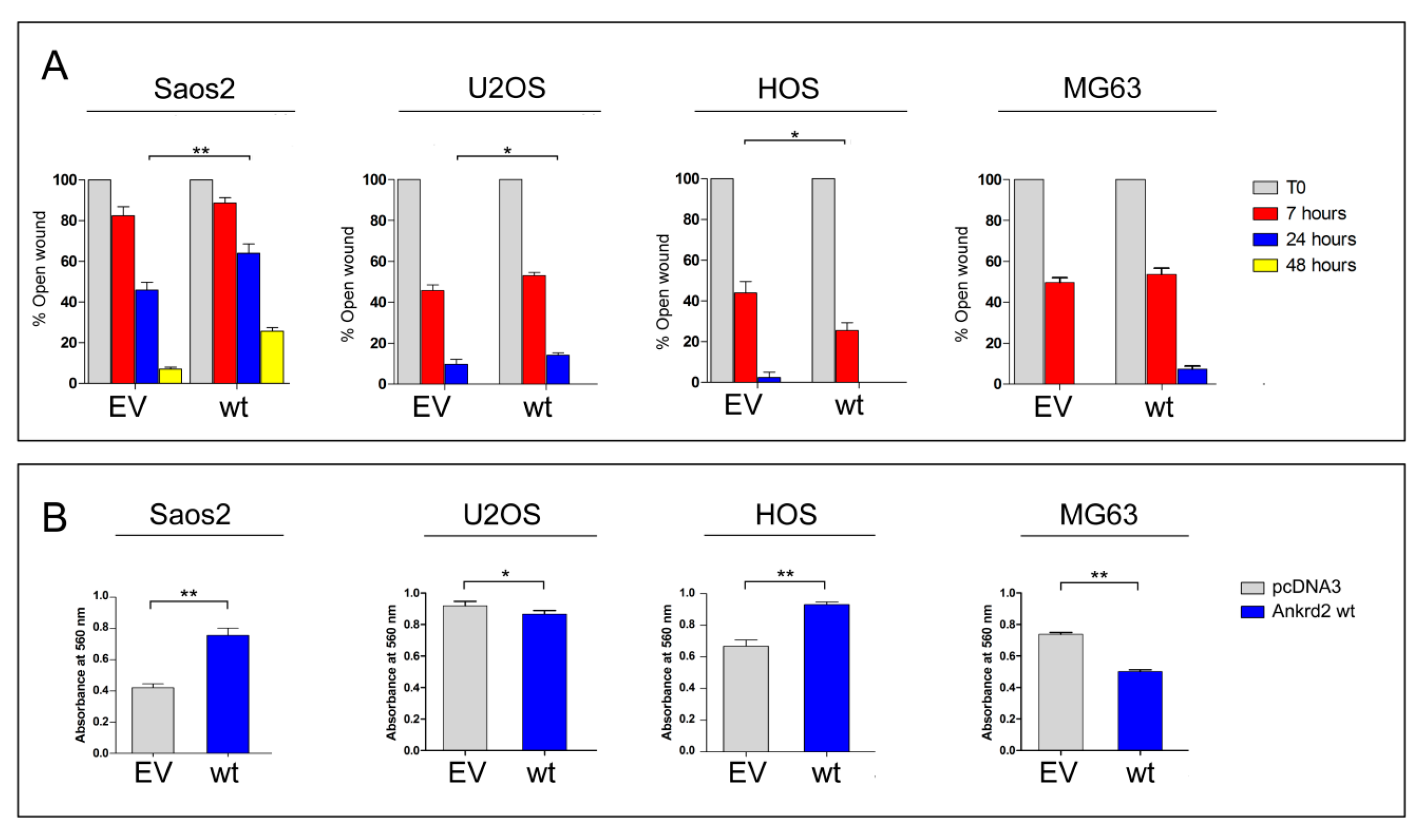Cancers 13 00174 g004 Cancers 13 00174 g004