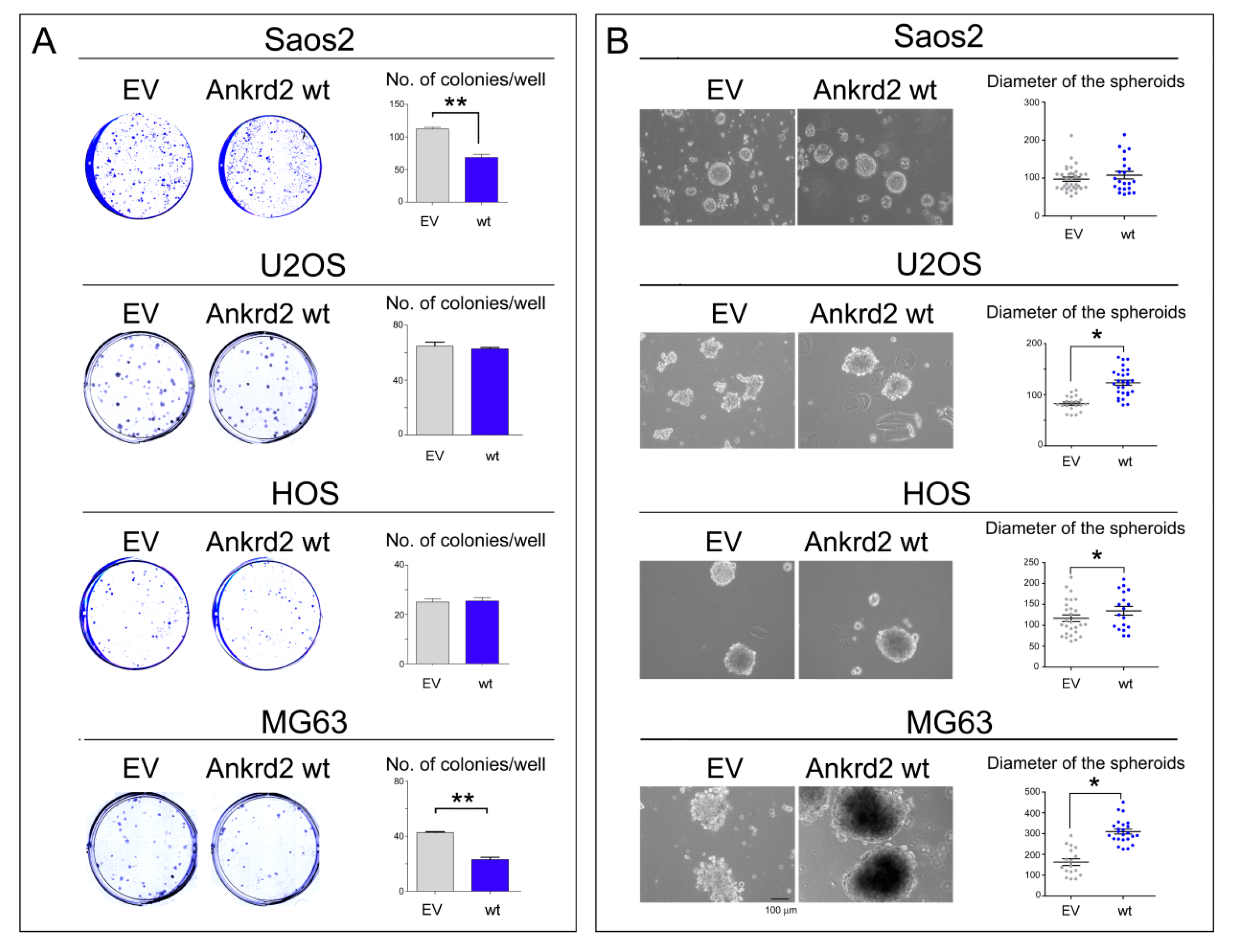 Cancers 13 00174 g005 Cancers 13 00174 g005