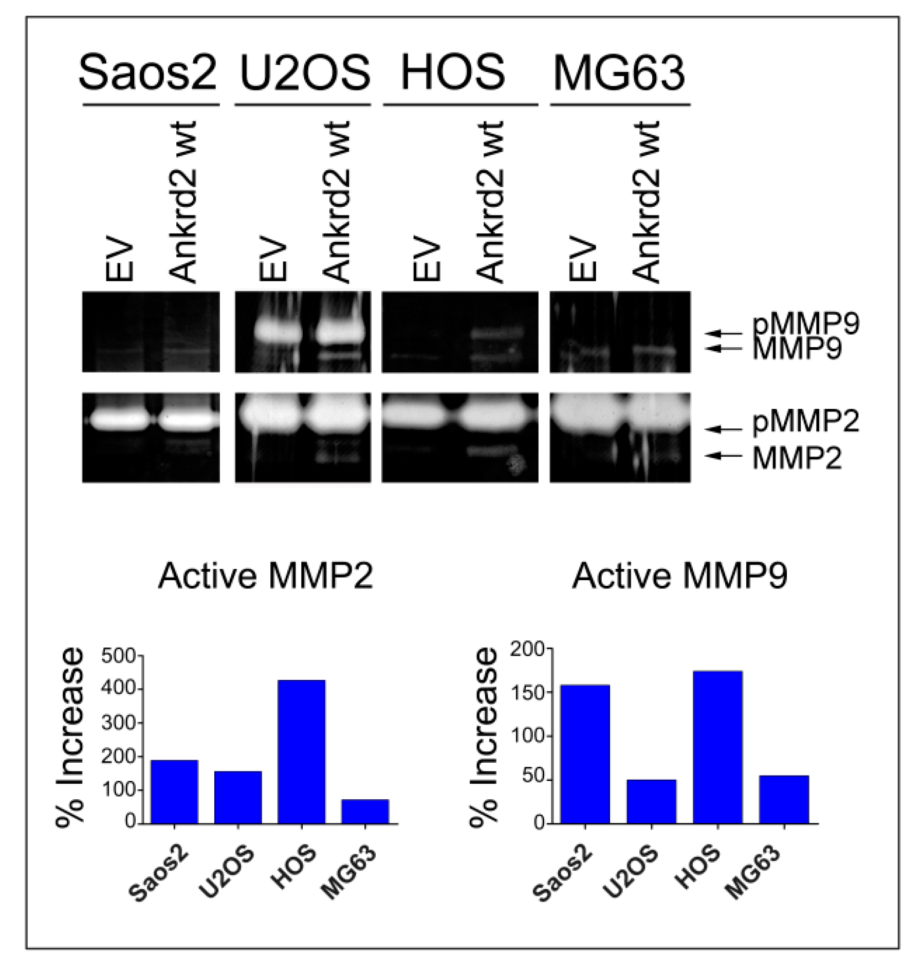 Cancers 13 00174 g006 Cancers 13 00174 g006