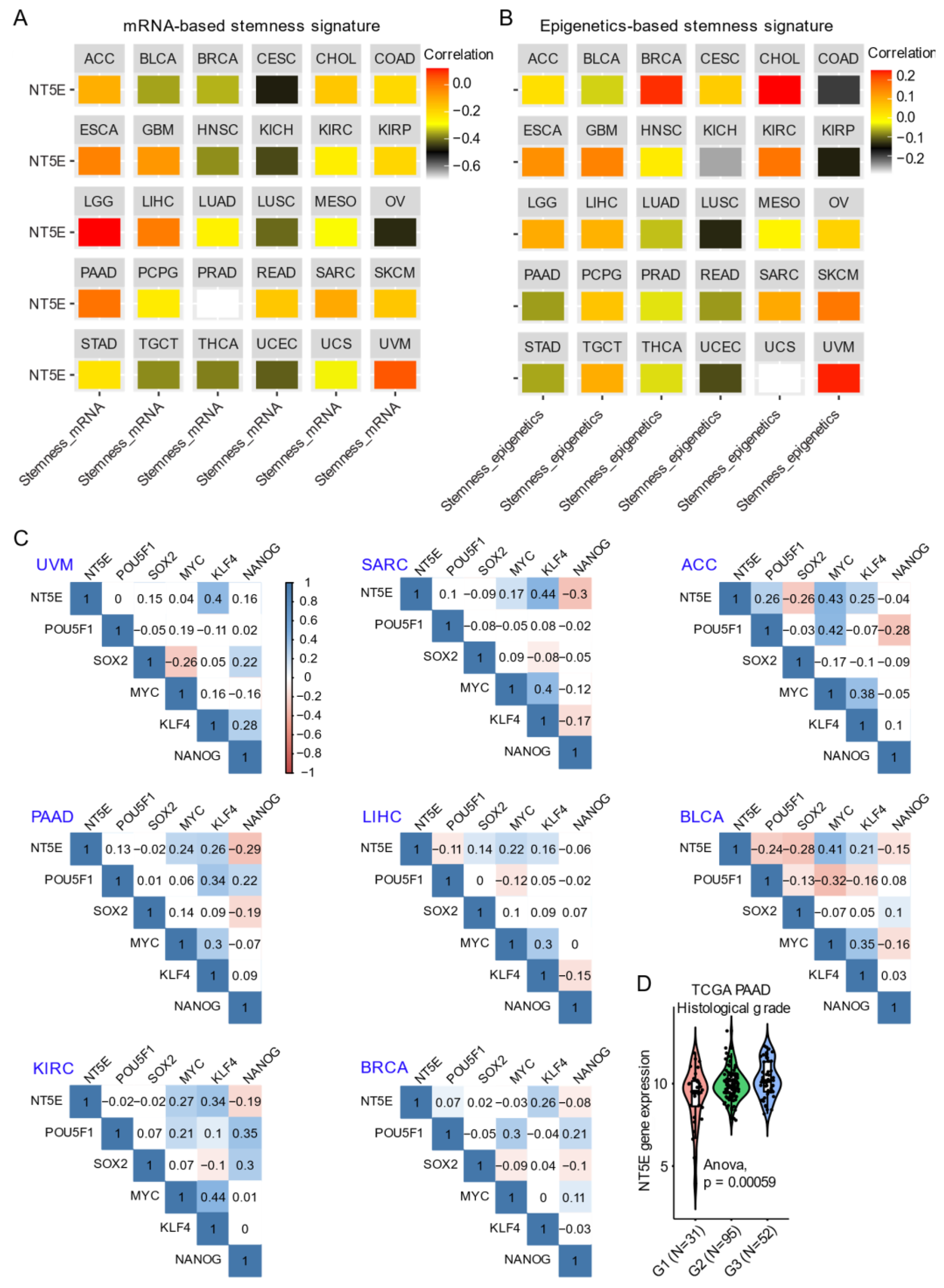 Cancers 13 00177 g002