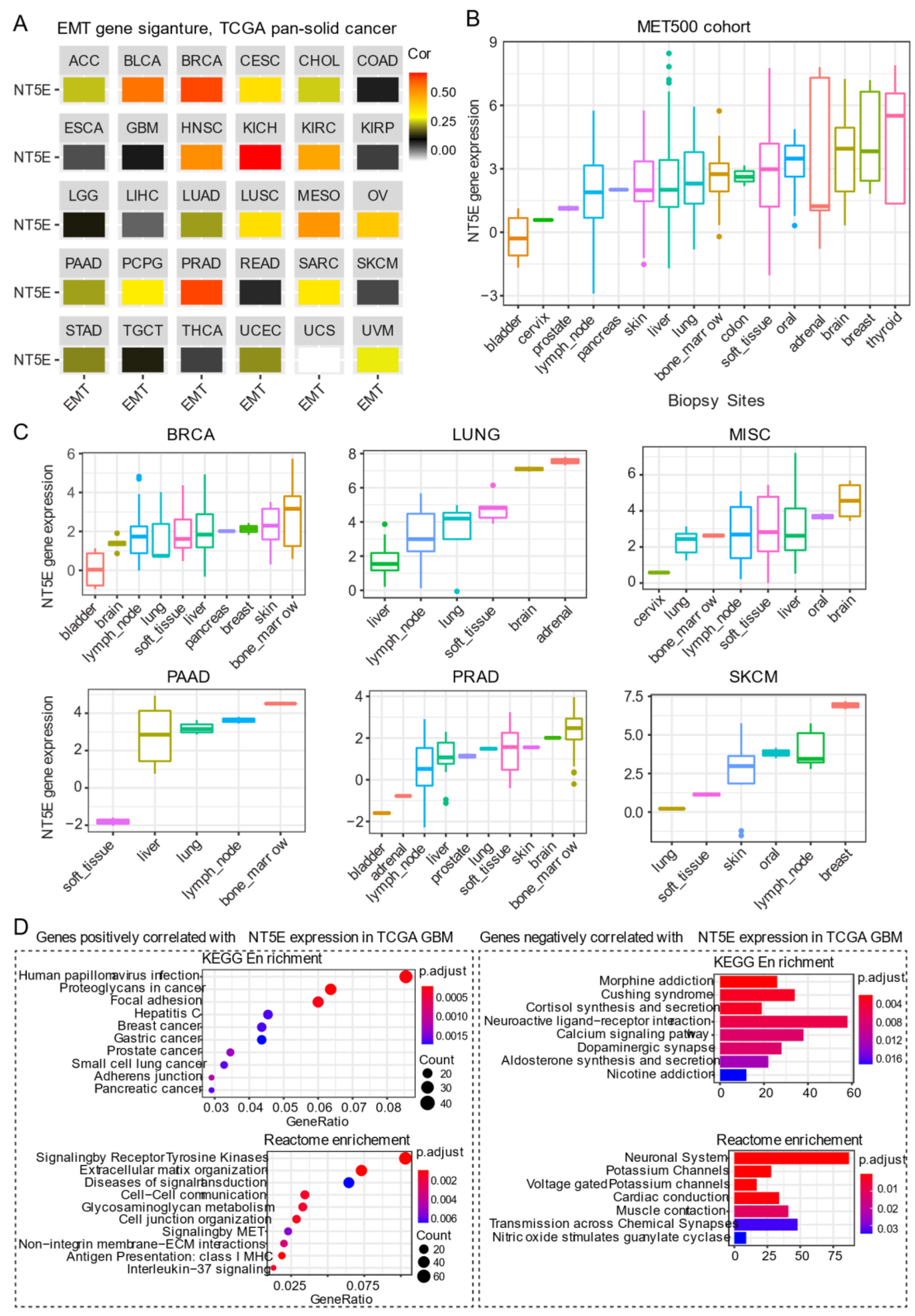 Cancers 13 00177 g003