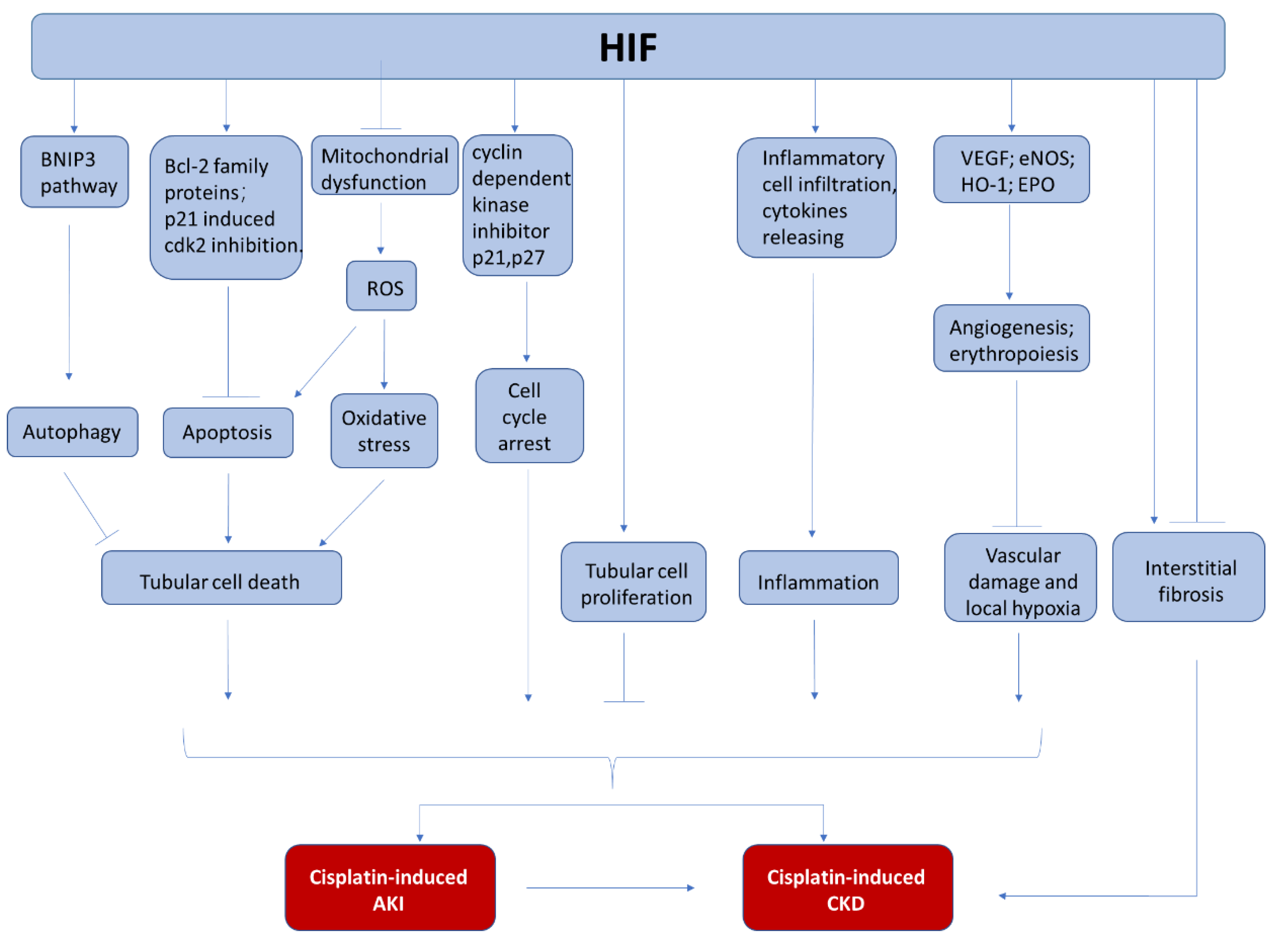Cancers 13 00180 g002 Cancers 13 00180 g002