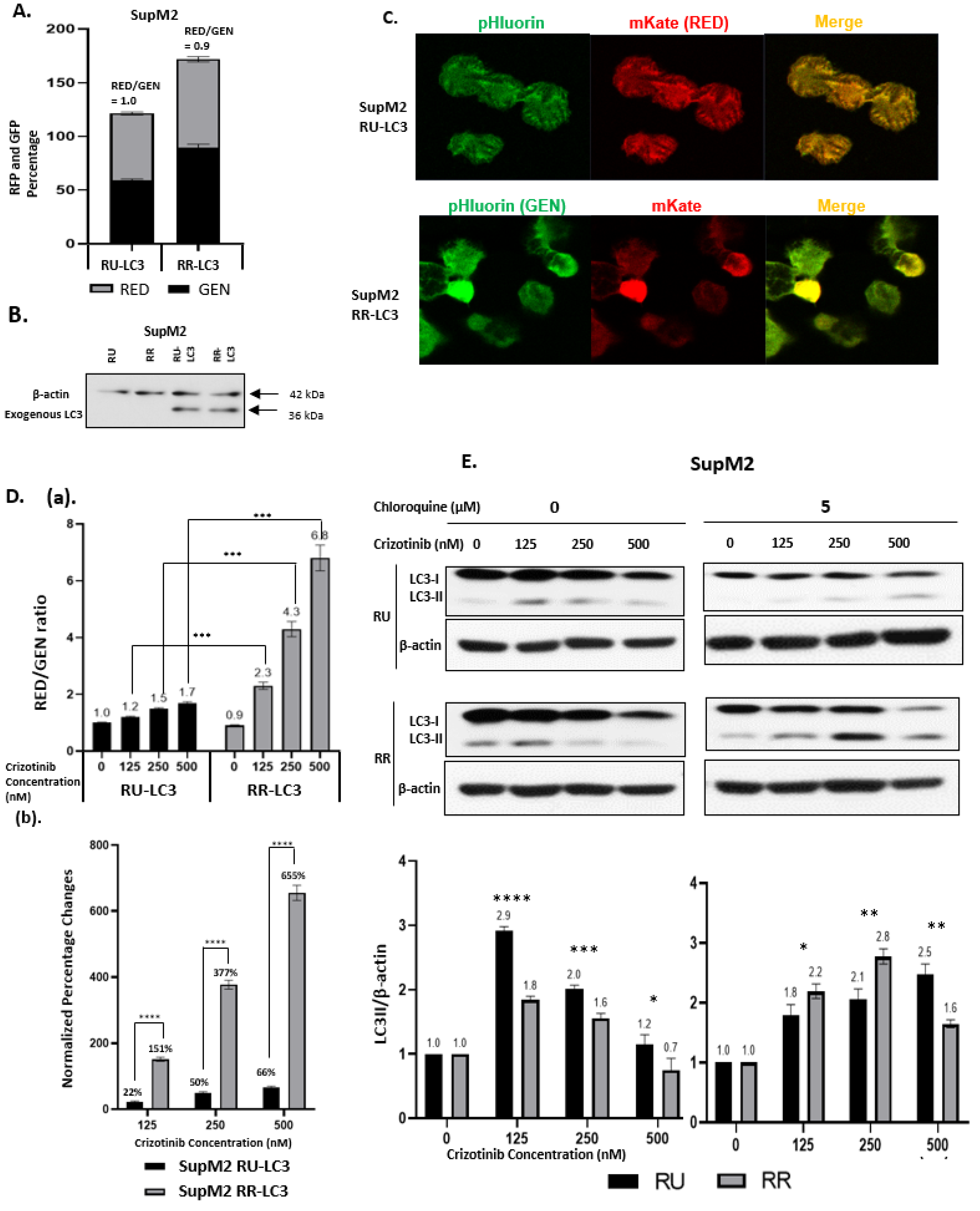 Cancers 13 00181 g001