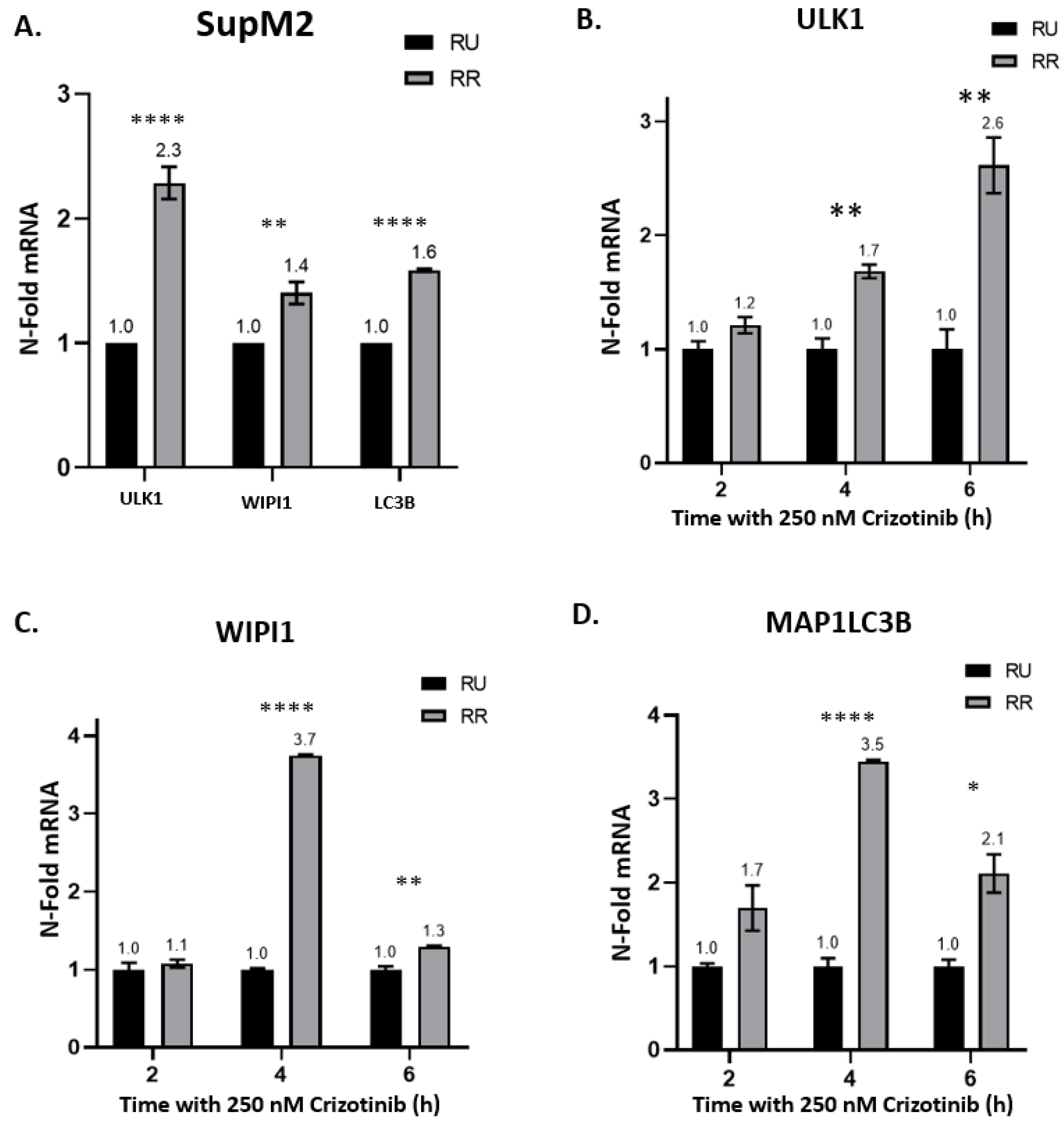 Cancers 13 00181 g002