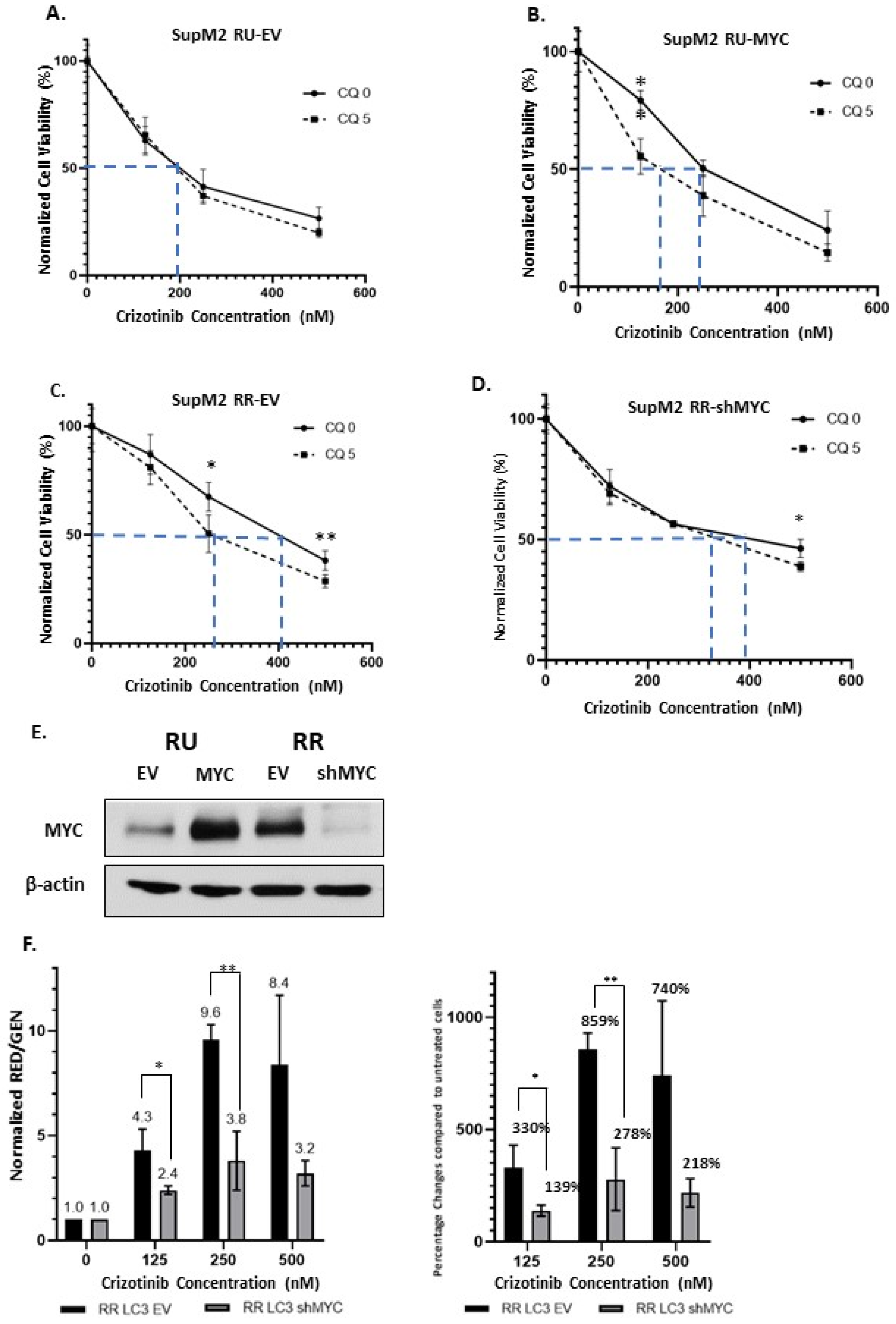 Cancers 13 00181 g004