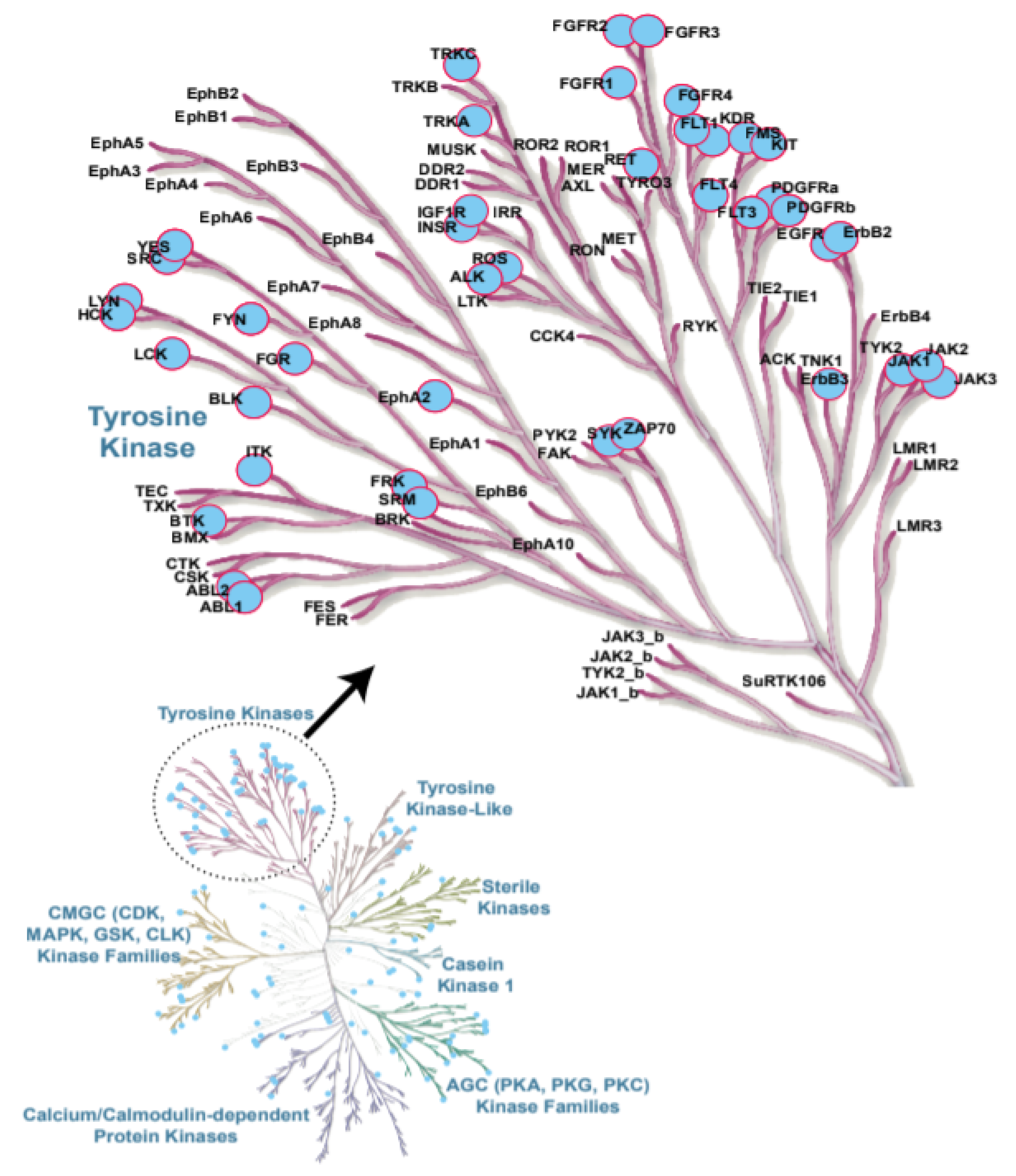 Cancers 13 00184 g001