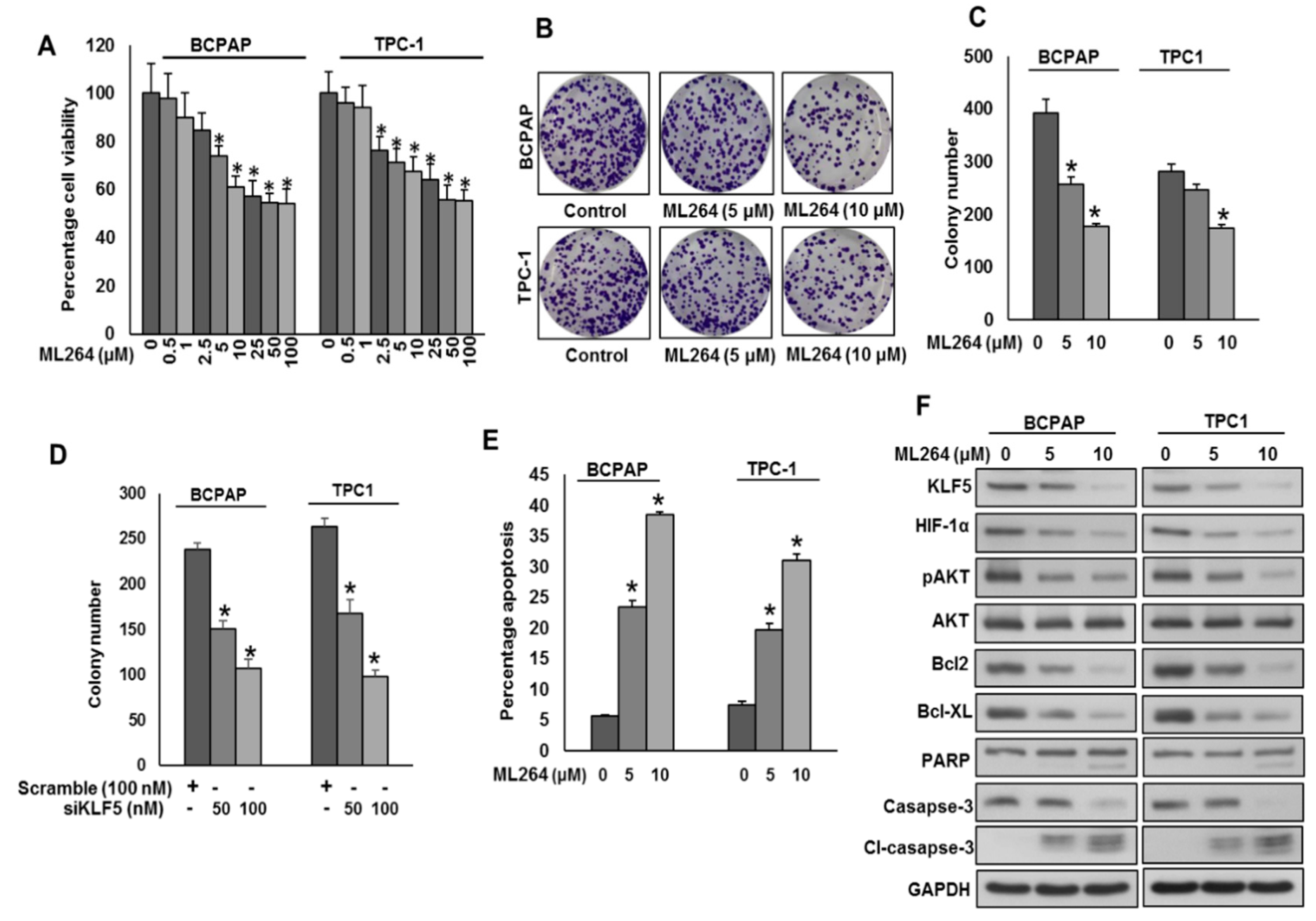 Cancers 13 00185 g004