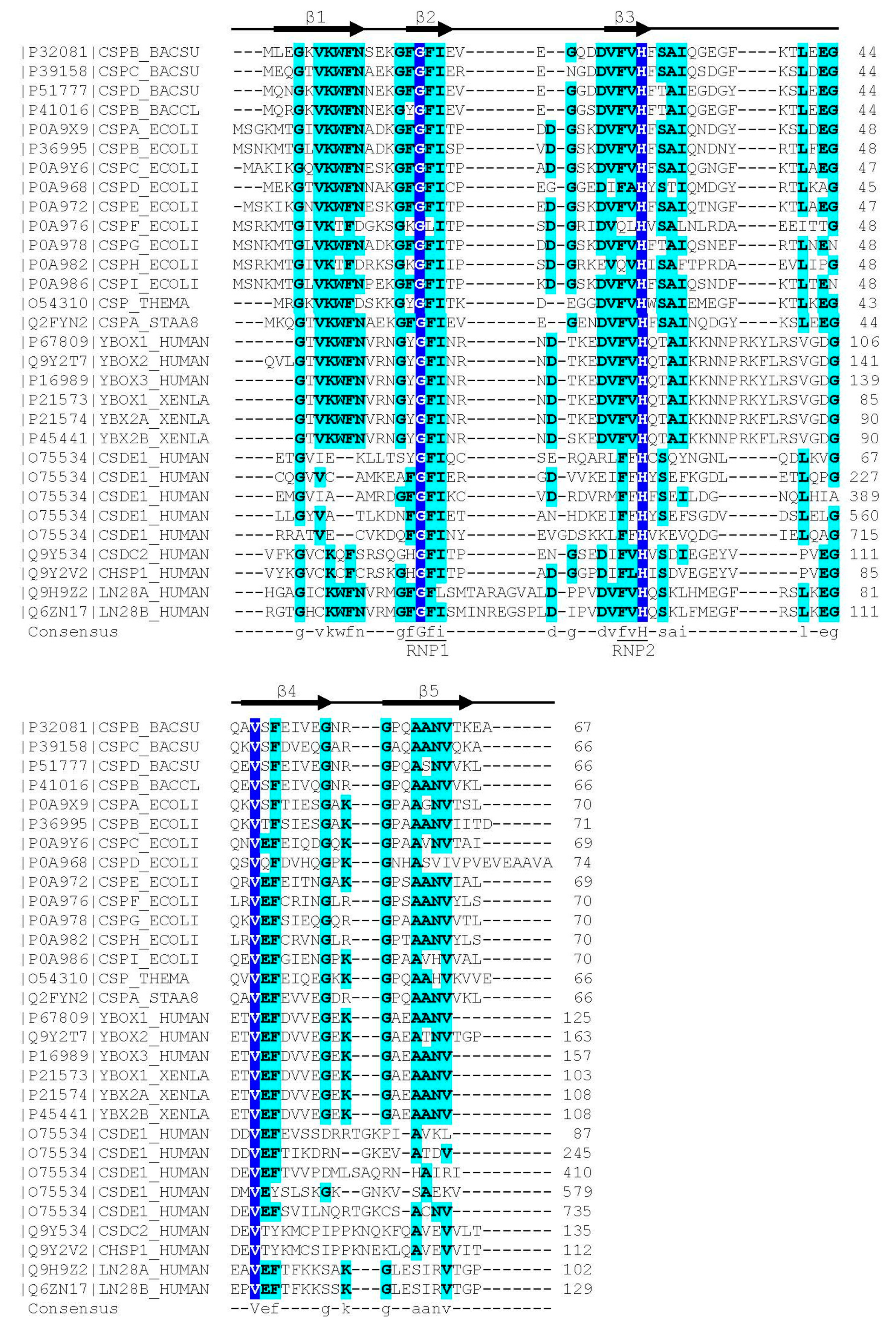 Cancers 13 00190 g001 Cancers 13 00190 g001