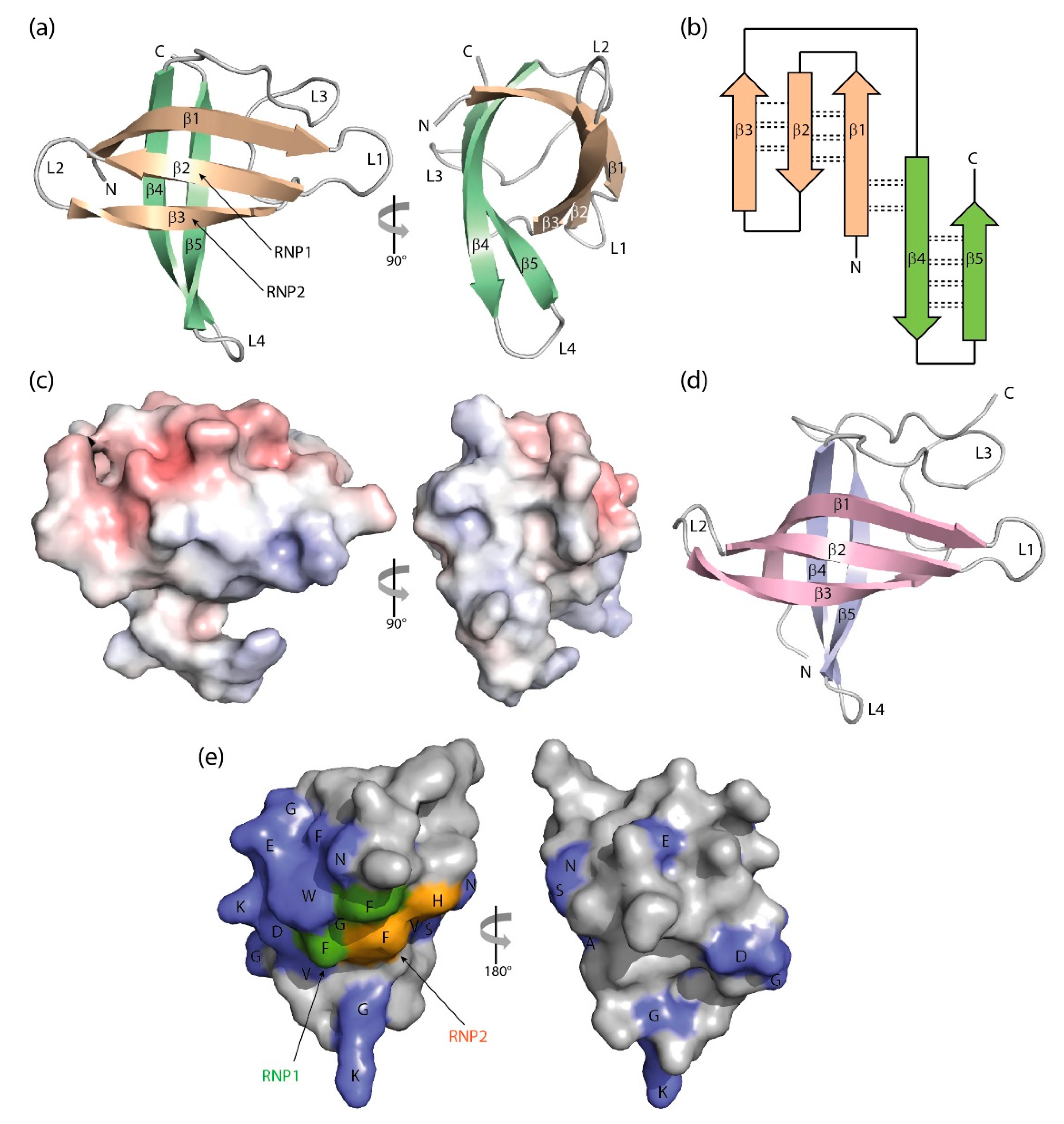 Cancers 13 00190 g003 Cancers 13 00190 g003