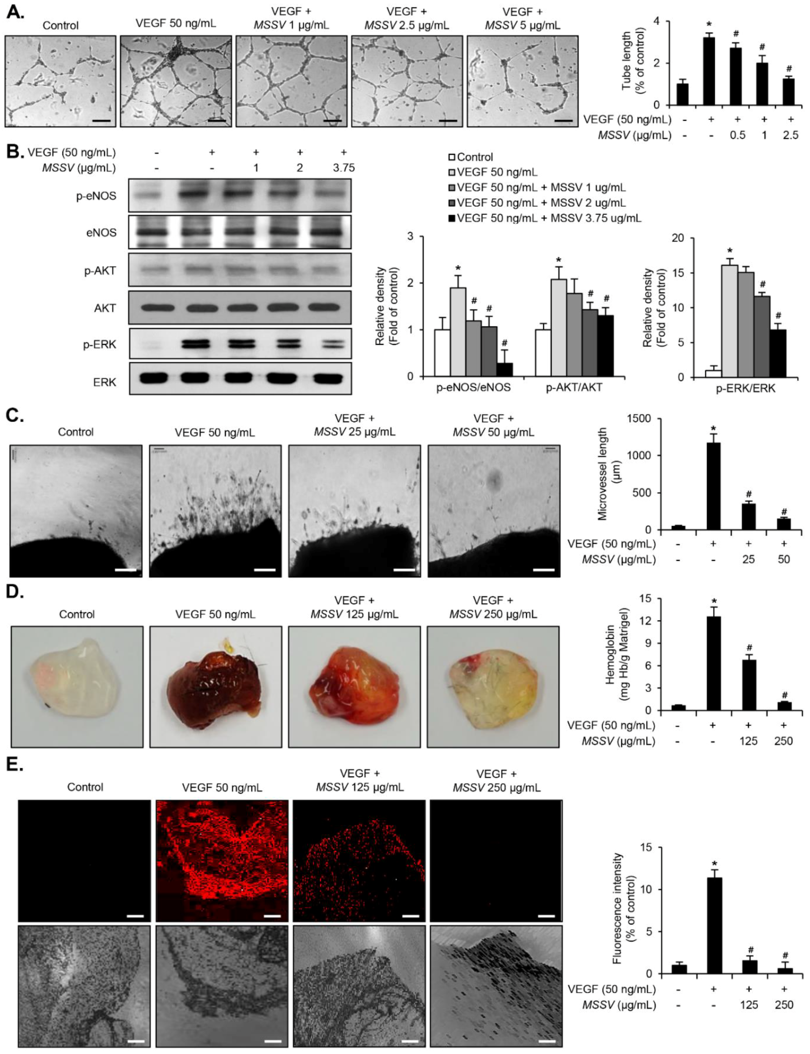 Cancers 13 00191 g007