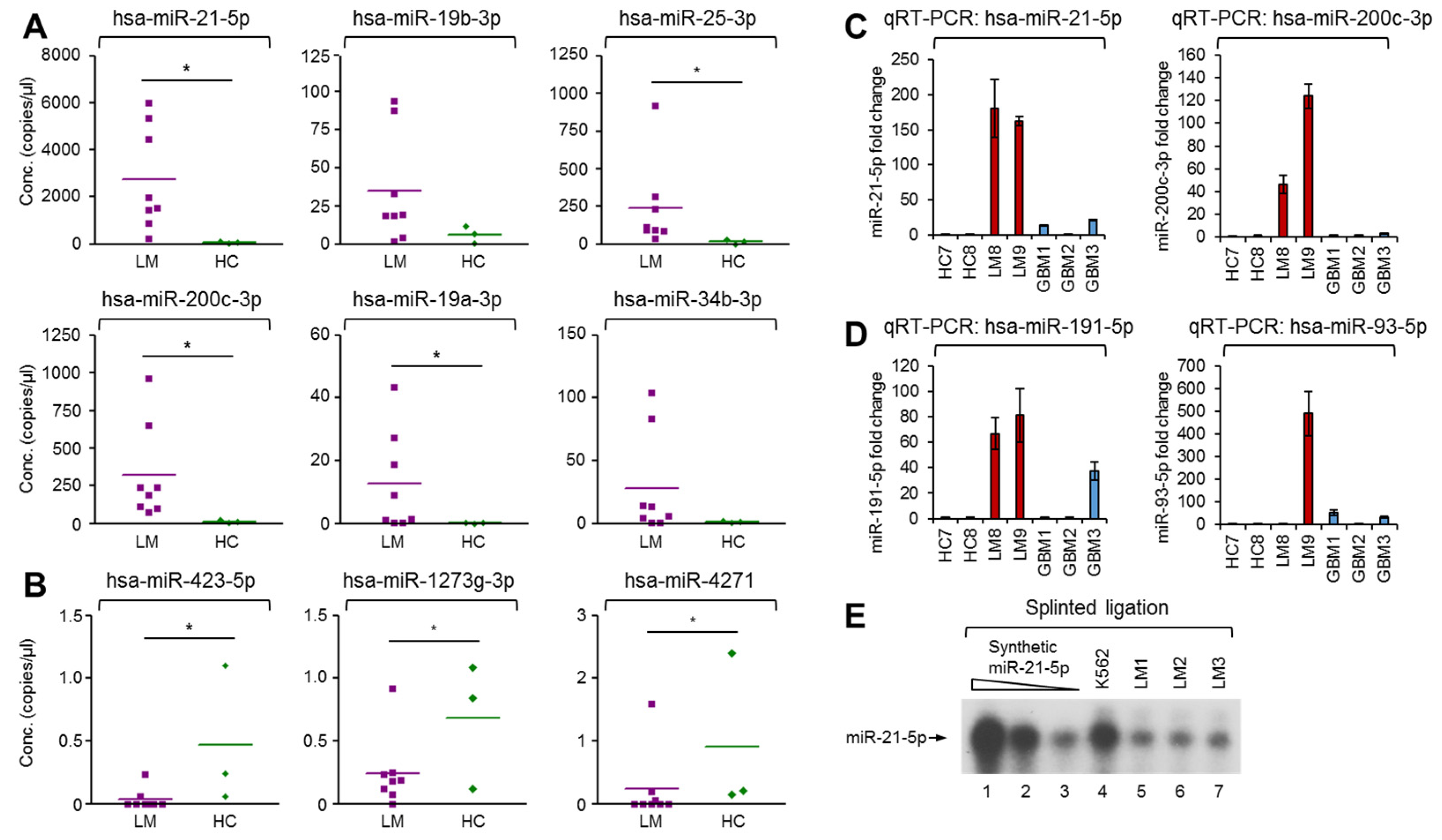 Cancers 13 00209 g004 Cancers 13 00209 g004