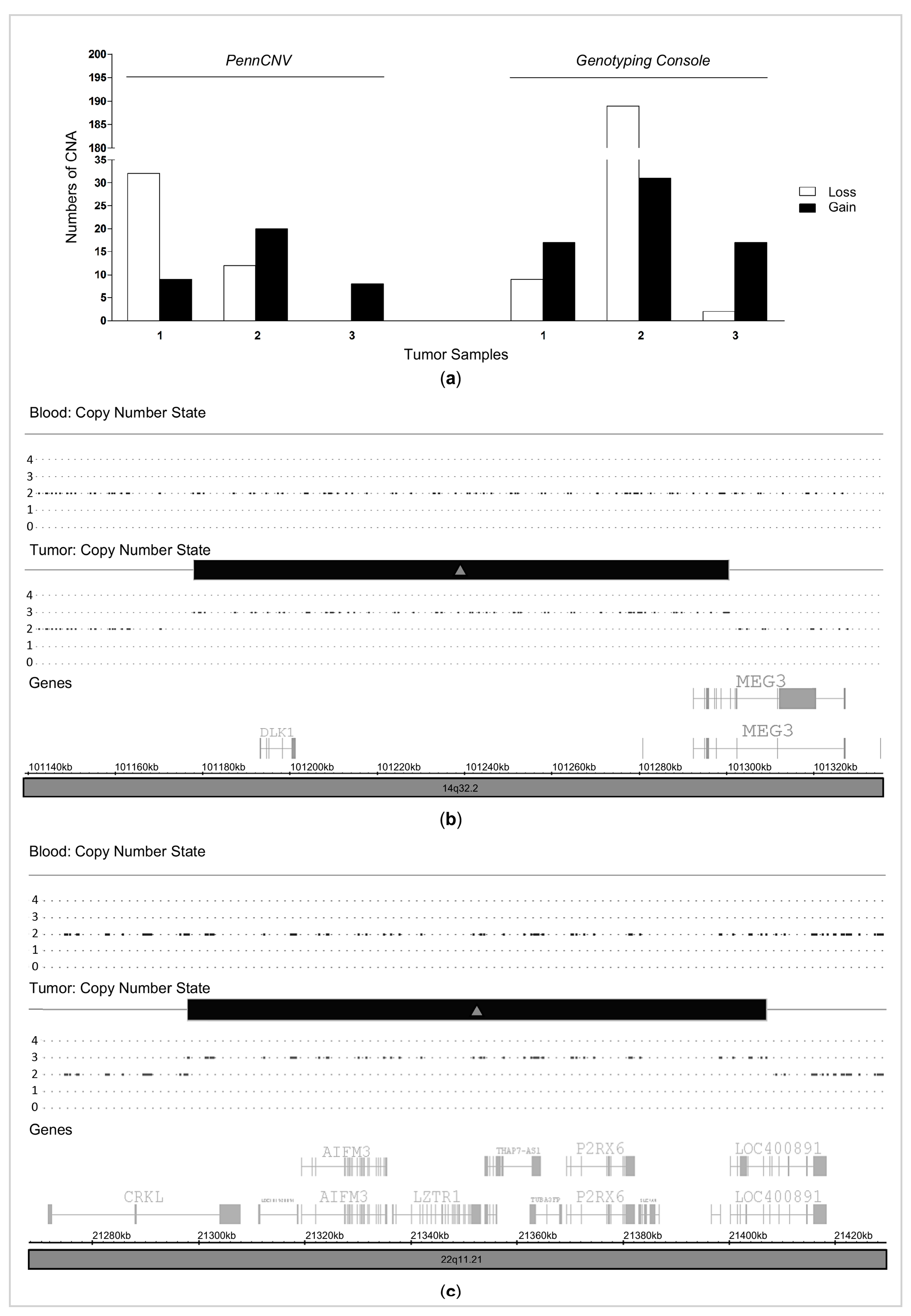 Cancers Free FullText Comprehensive Assessment of Copy Number