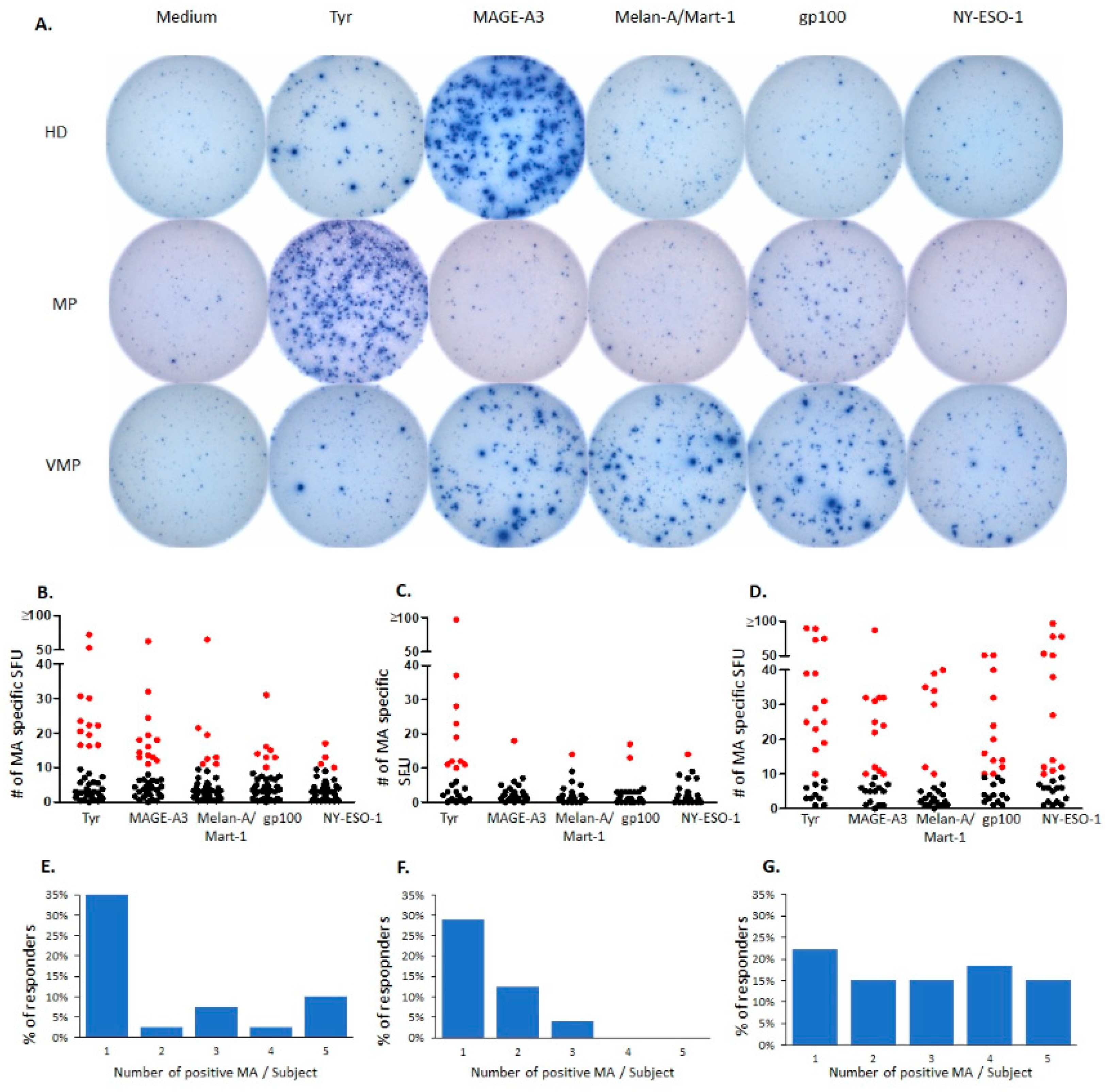 Cancers 13 00223 g001