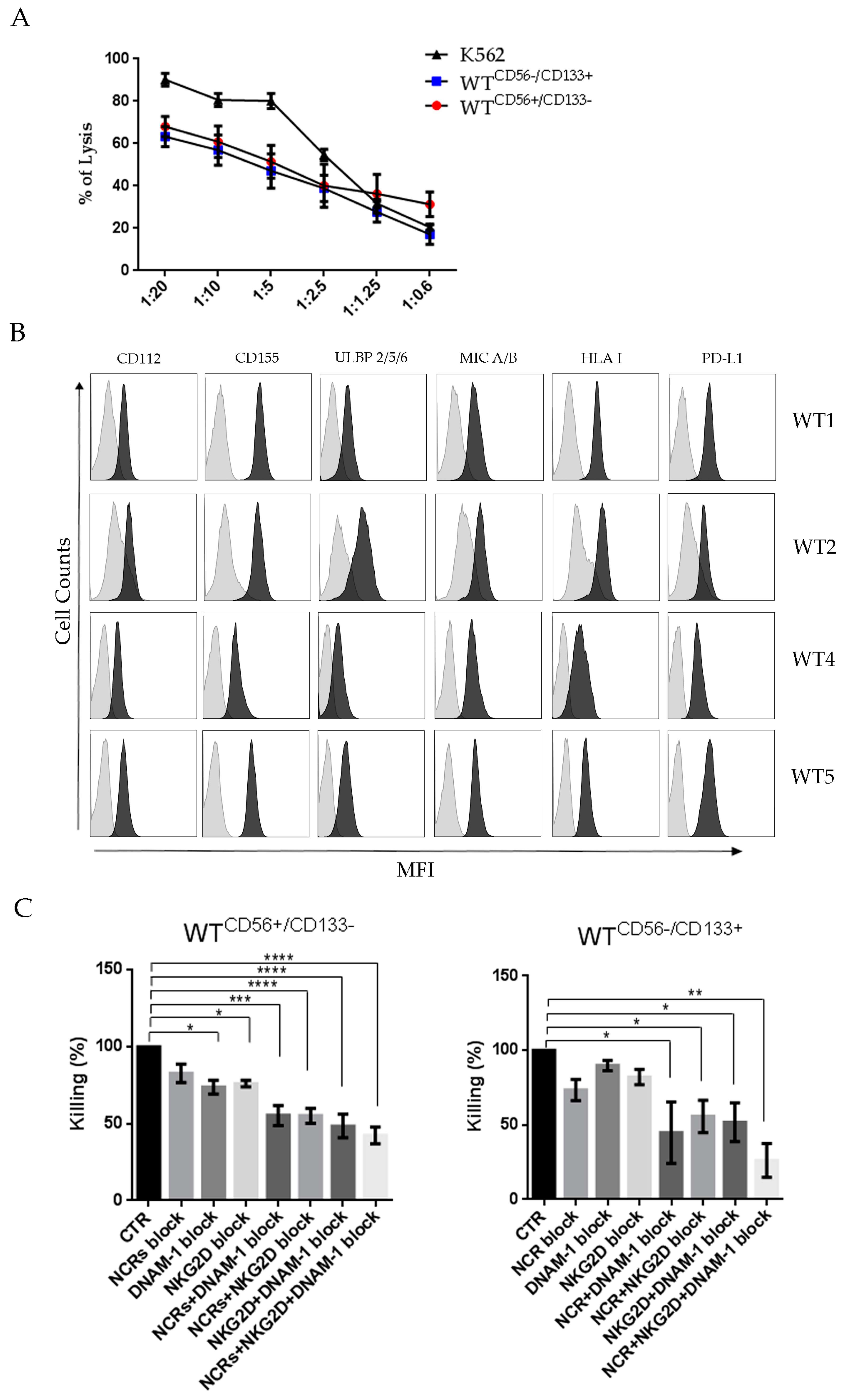 Cancers 13 00224 g002 Cancers 13 00224 g002