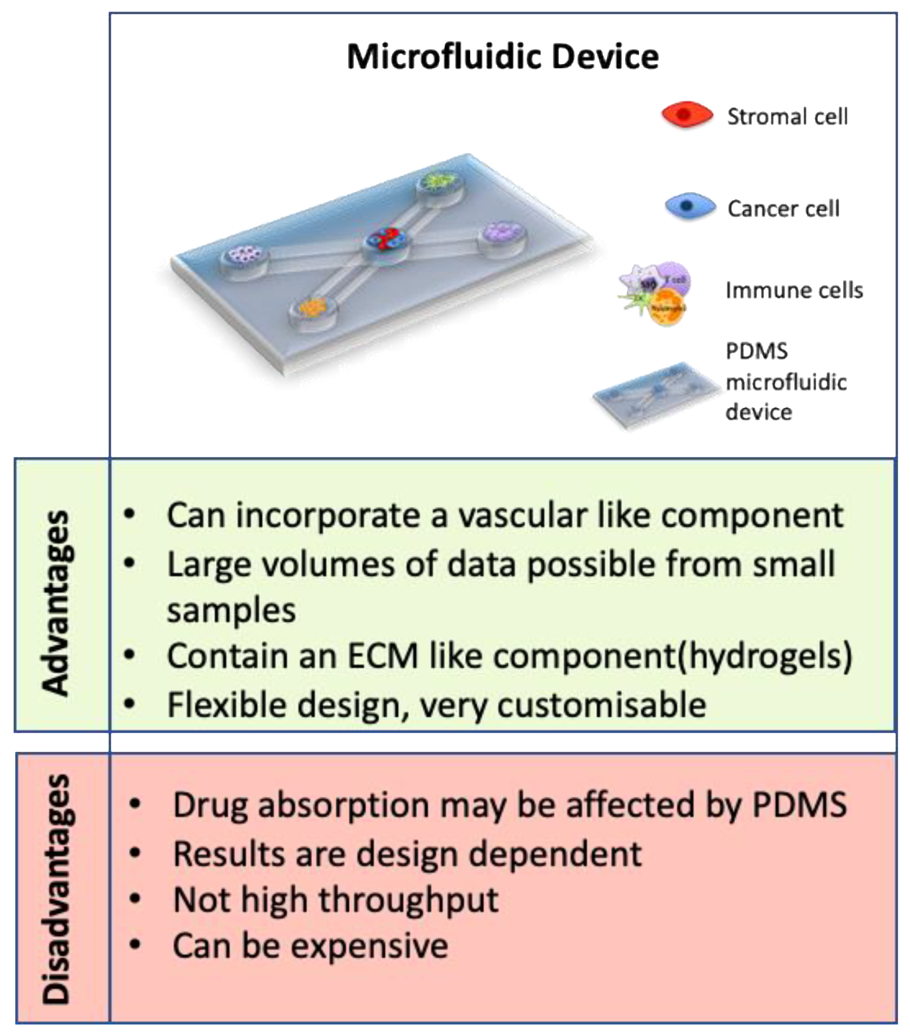 Cancers 13 00227 g005 Cancers 13 00227 g005