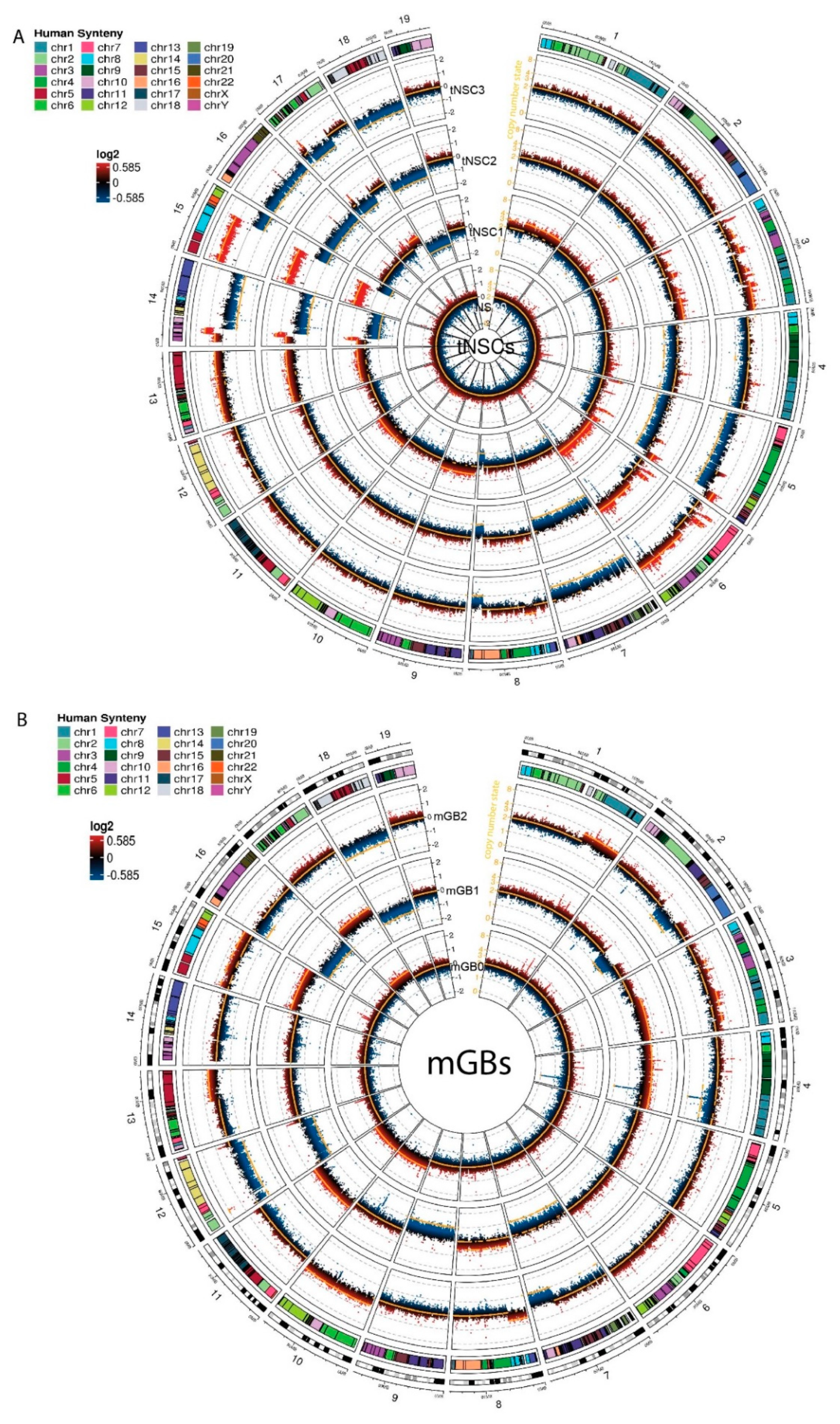 Cancers 13 00230 g003 Cancers 13 00230 g003