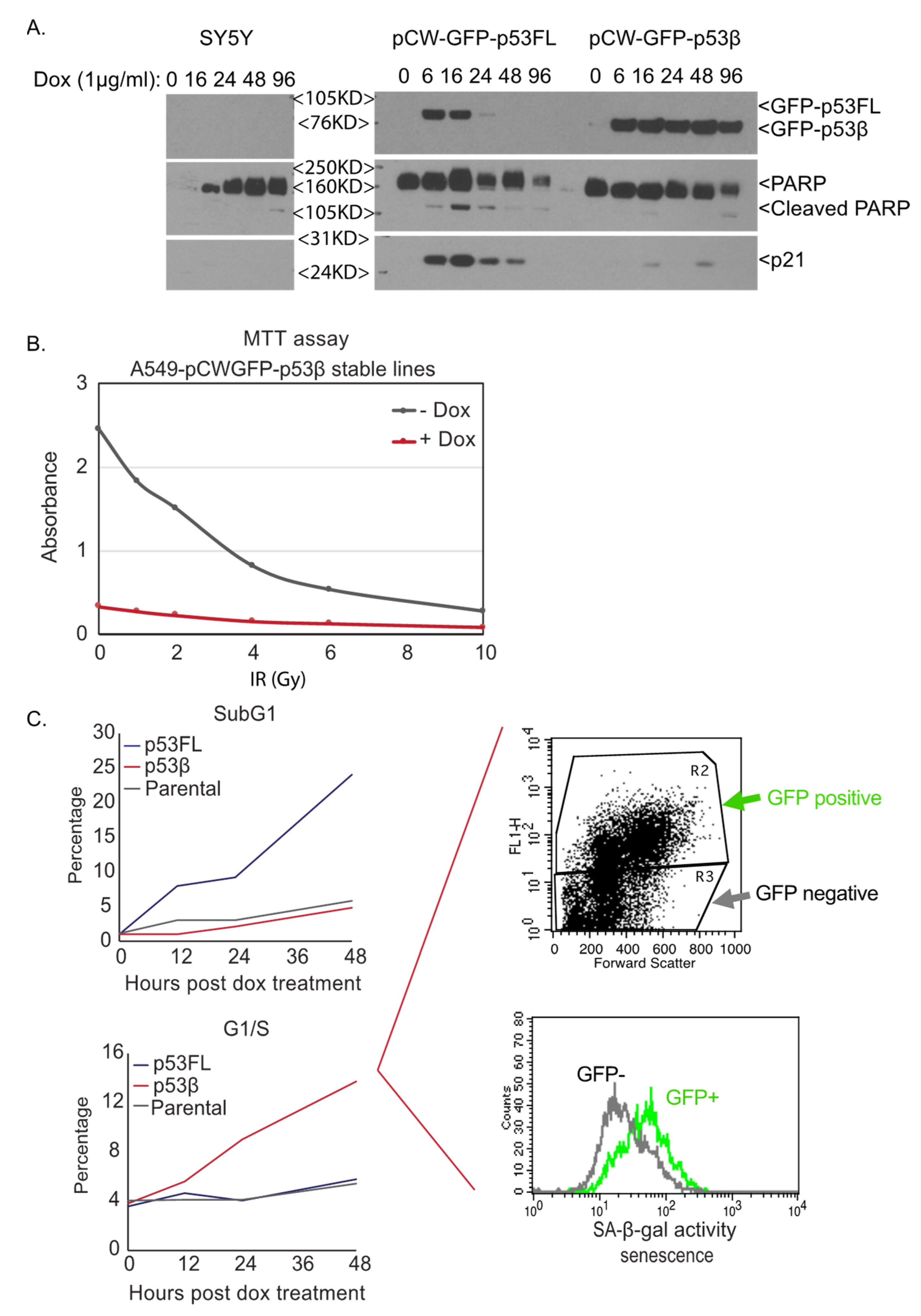 Cancers 13 00251 g002 Cancers 13 00251 g002