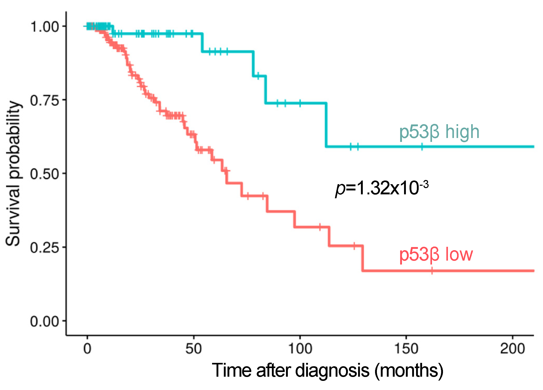 Cancers 13 00251 g003 Cancers 13 00251 g003