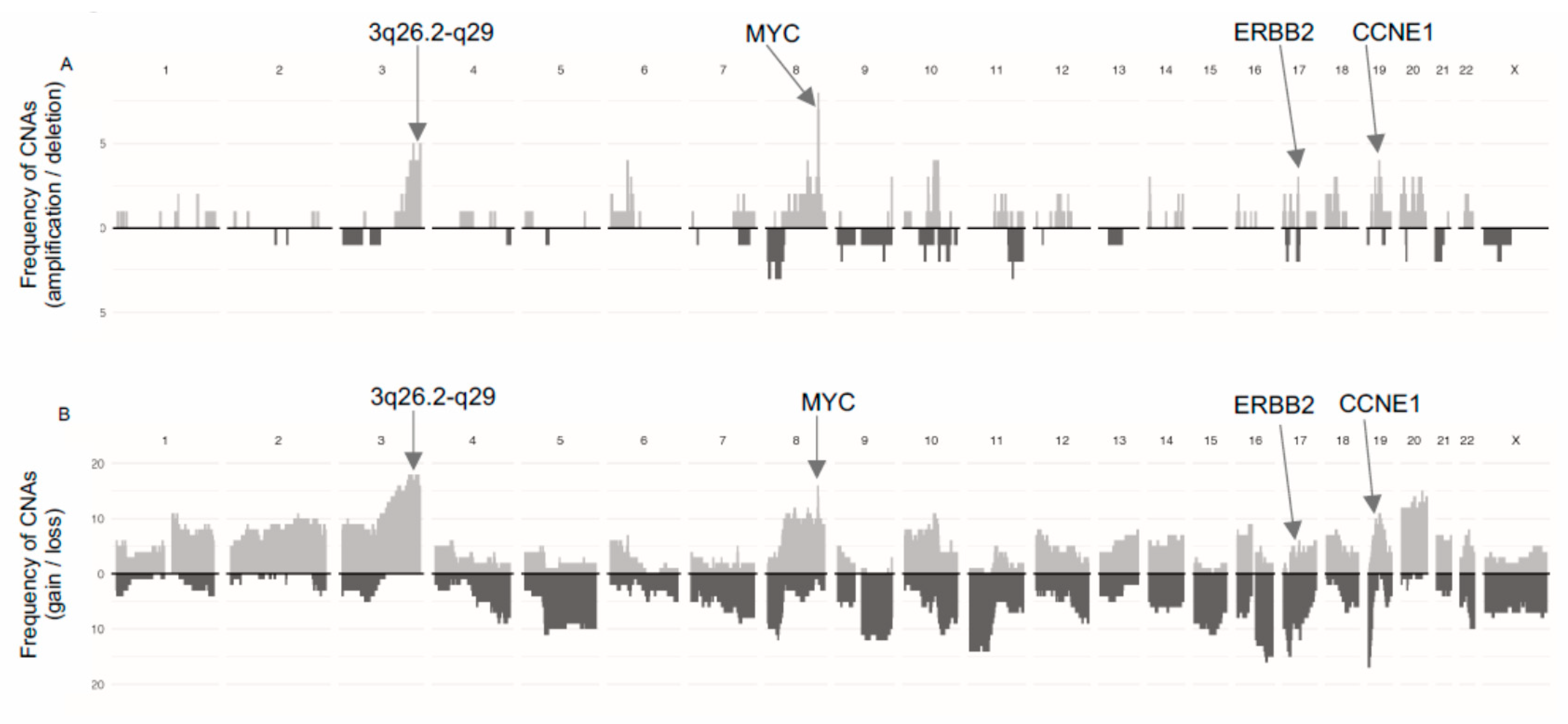 Cancers 13 00254 g001 Cancers 13 00254 g001