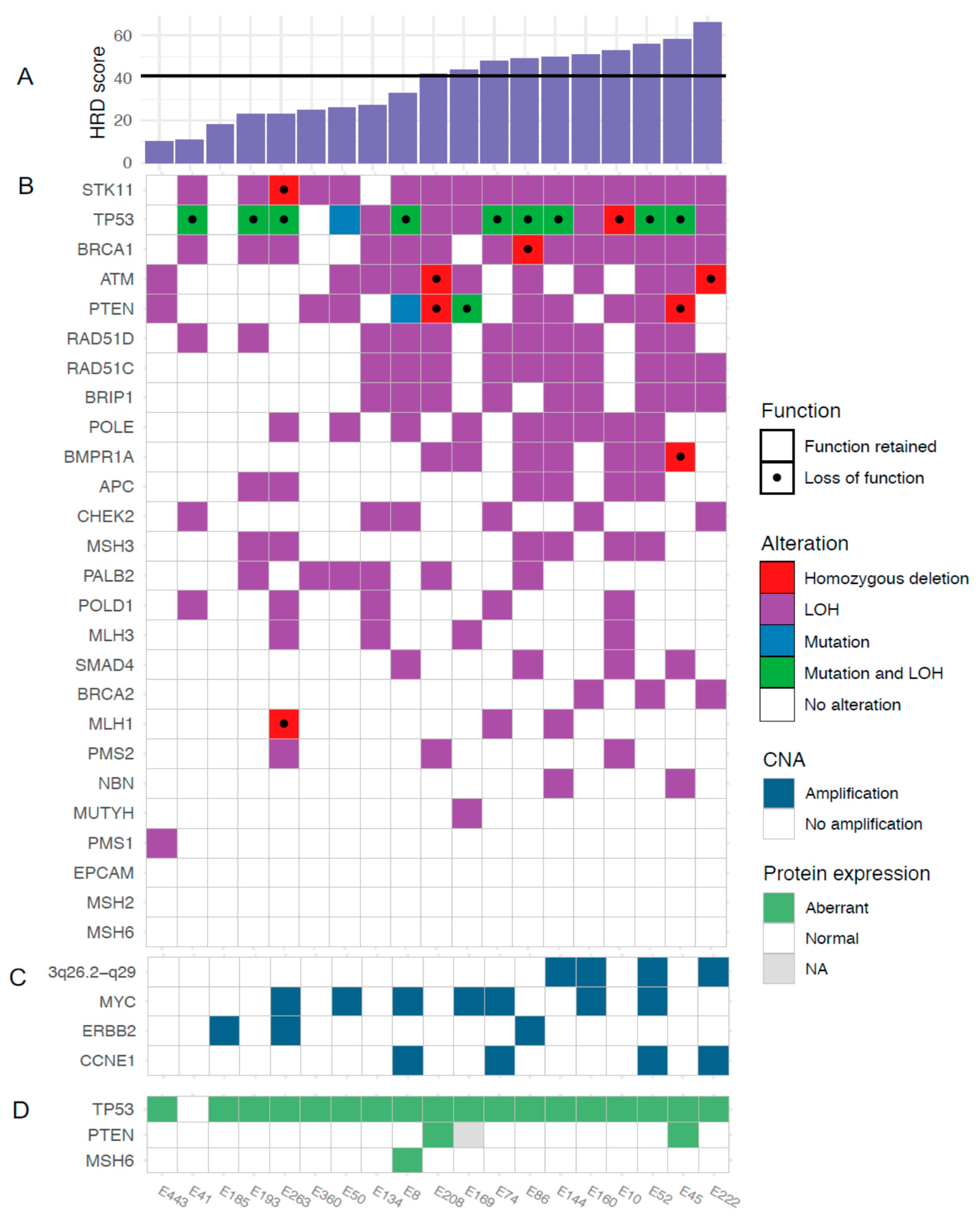 Cancers 13 00254 g003 Cancers 13 00254 g003