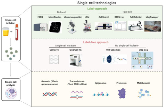 Cancers 13 00260 g002 550