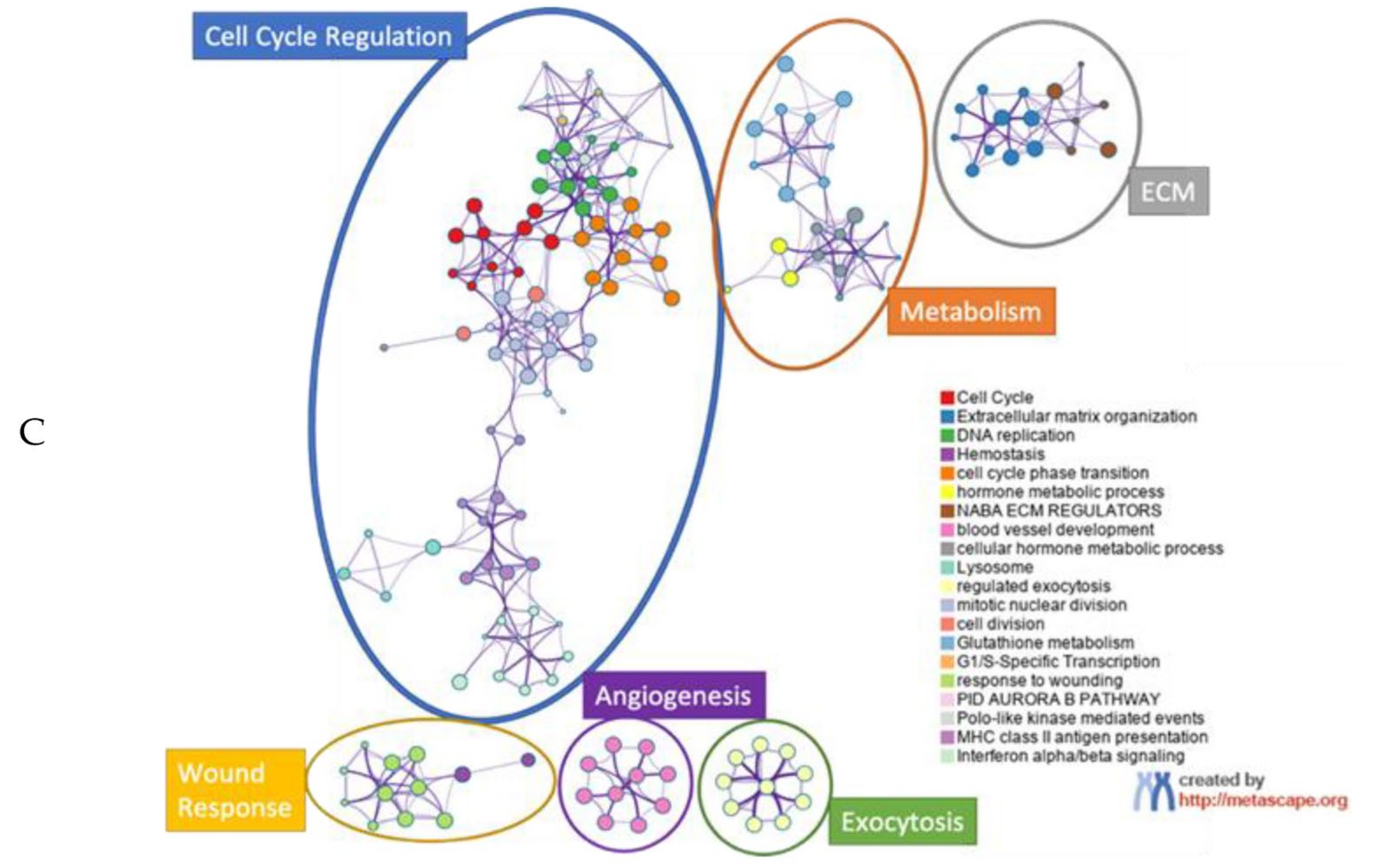 Cancers 13 00262 g001b