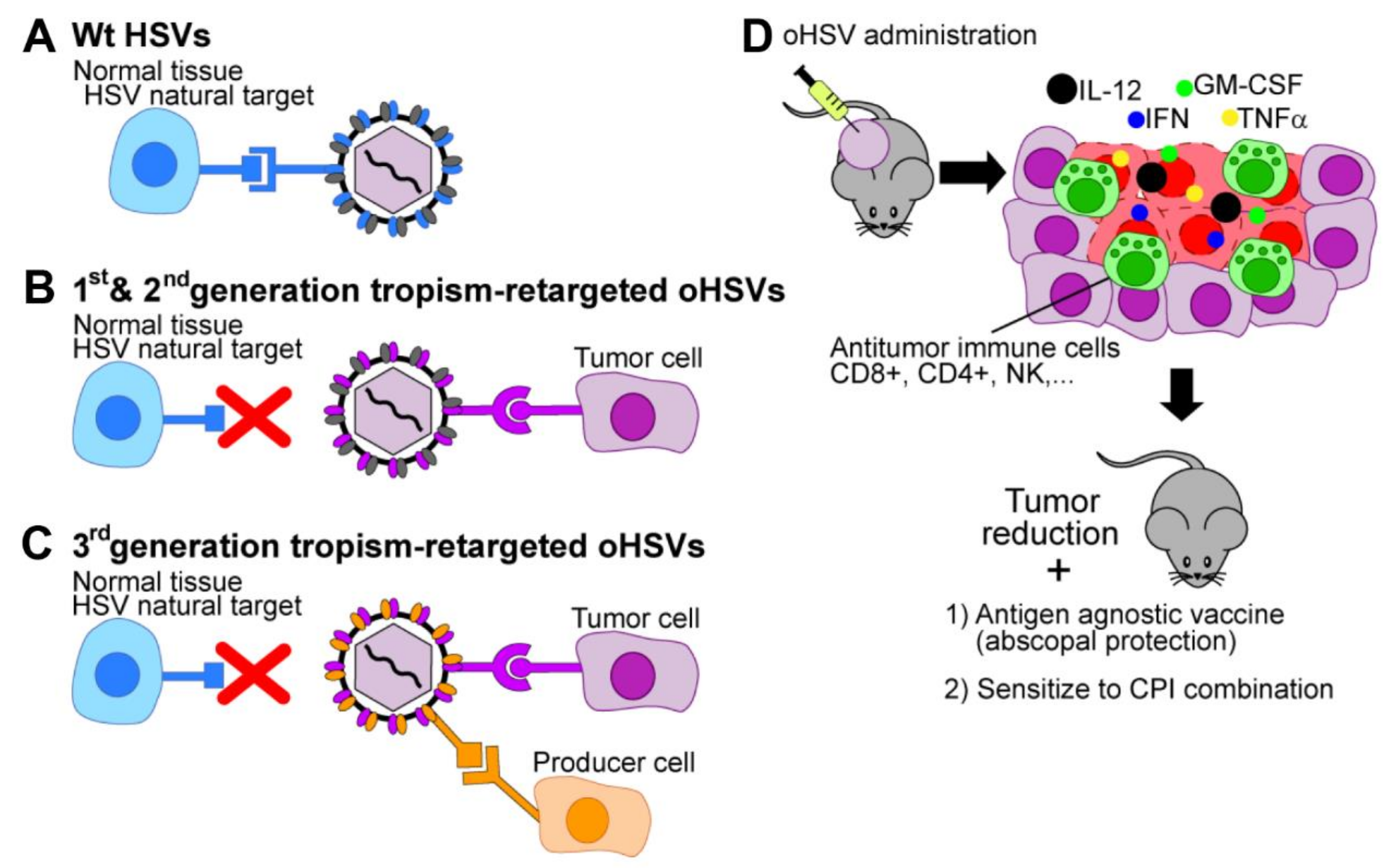 Cancers 13 00266 g001
