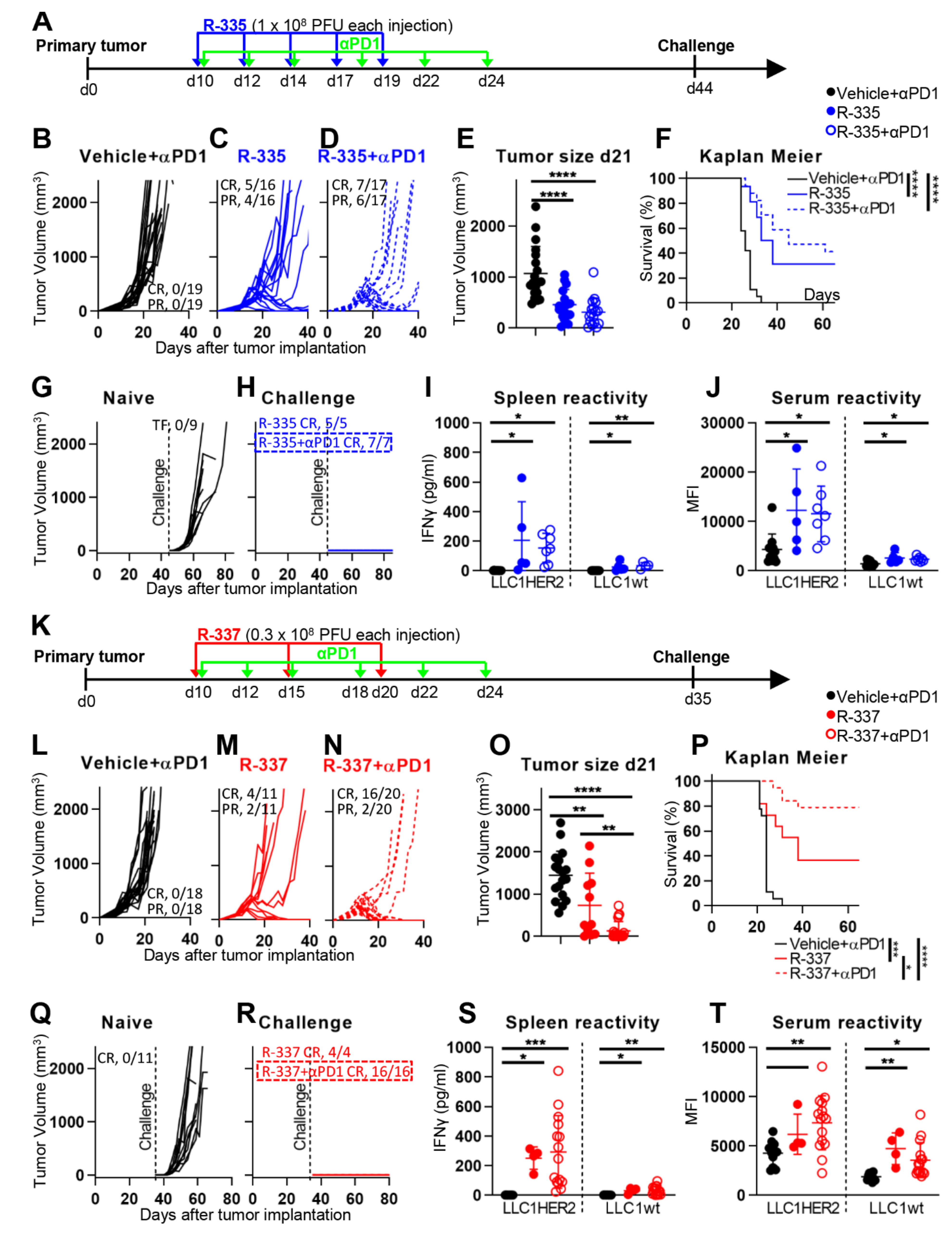 Cancers 13 00266 g006