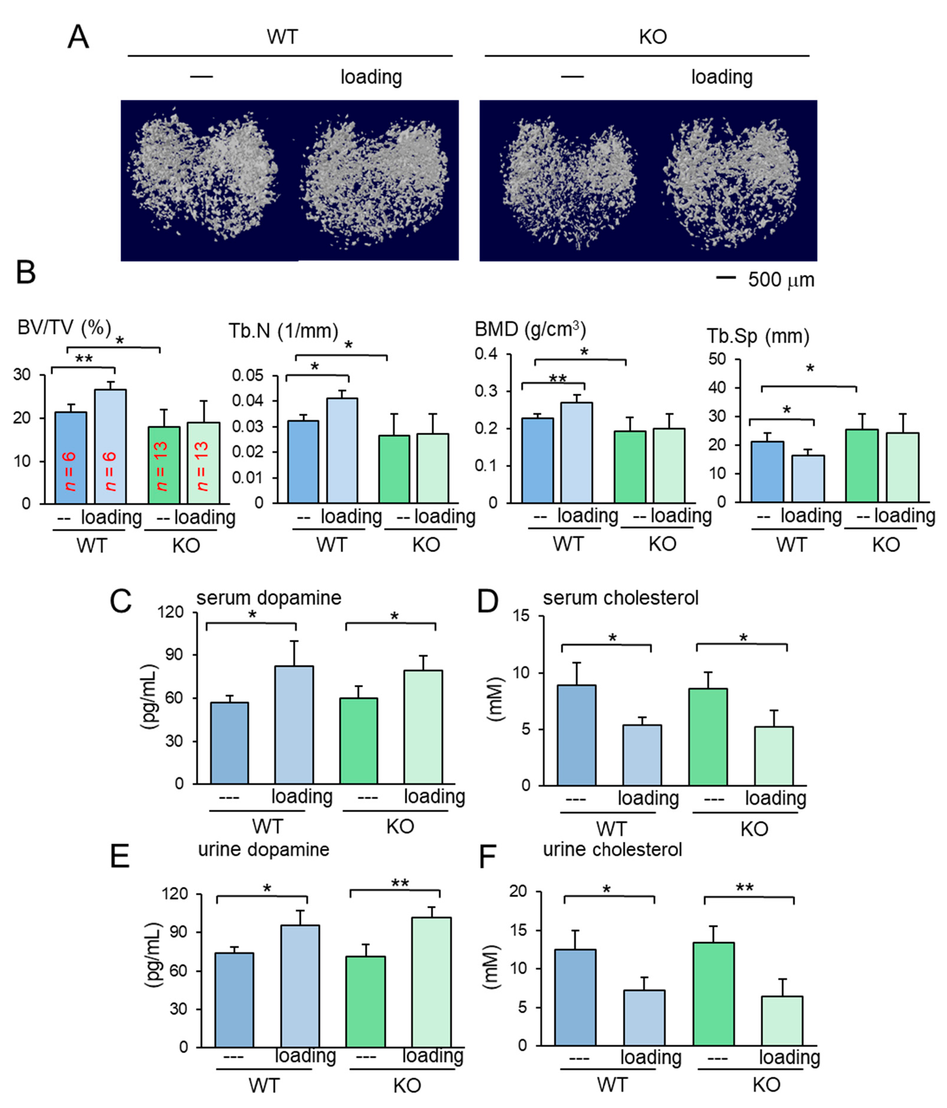 Cancers 13 00267 g003