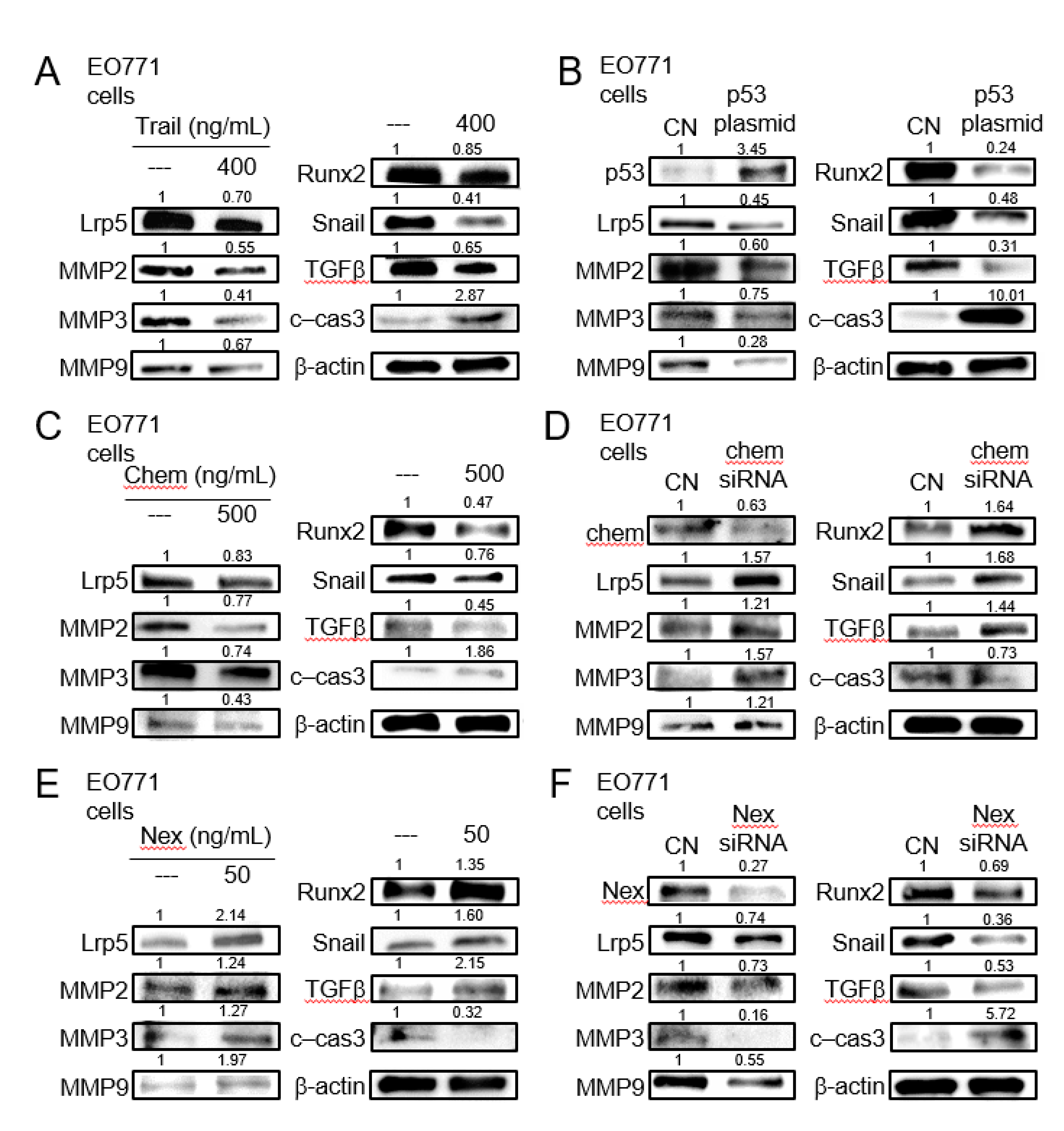 Cancers 13 00267 g005