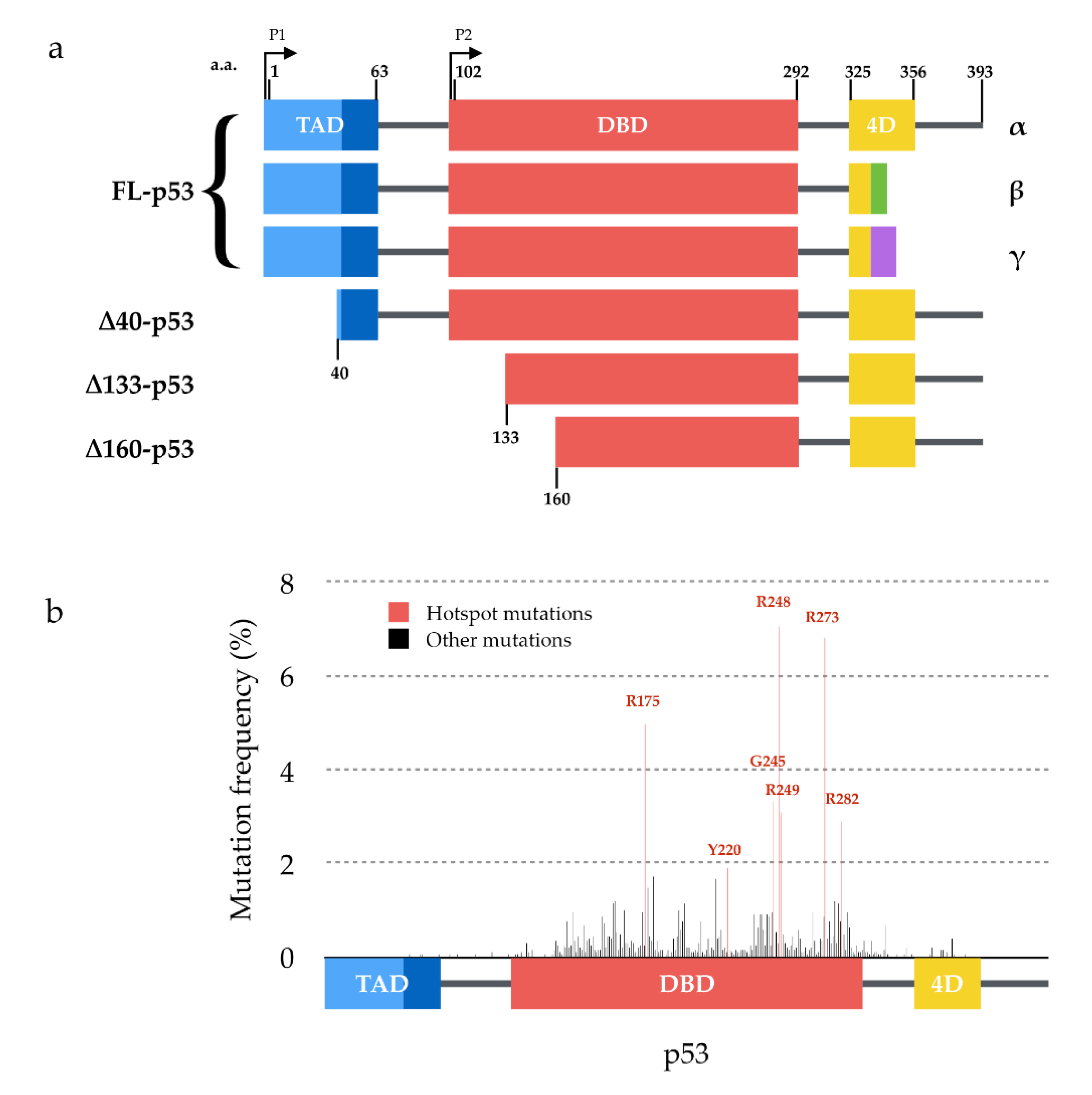 Cancers 13 00269 g001 Cancers 13 00269 g001