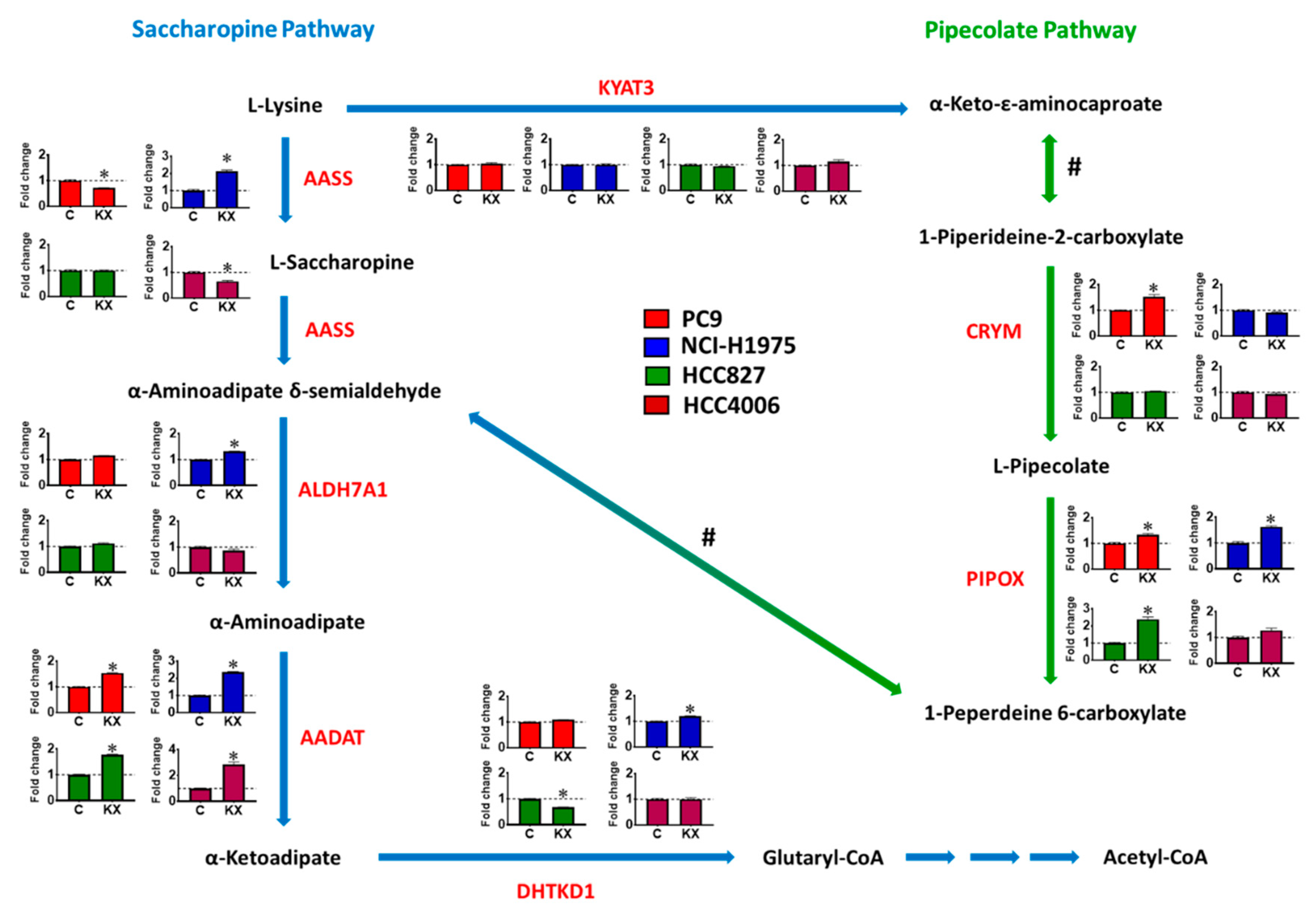 Cancers 13 00272 g004 Cancers 13 00272 g004