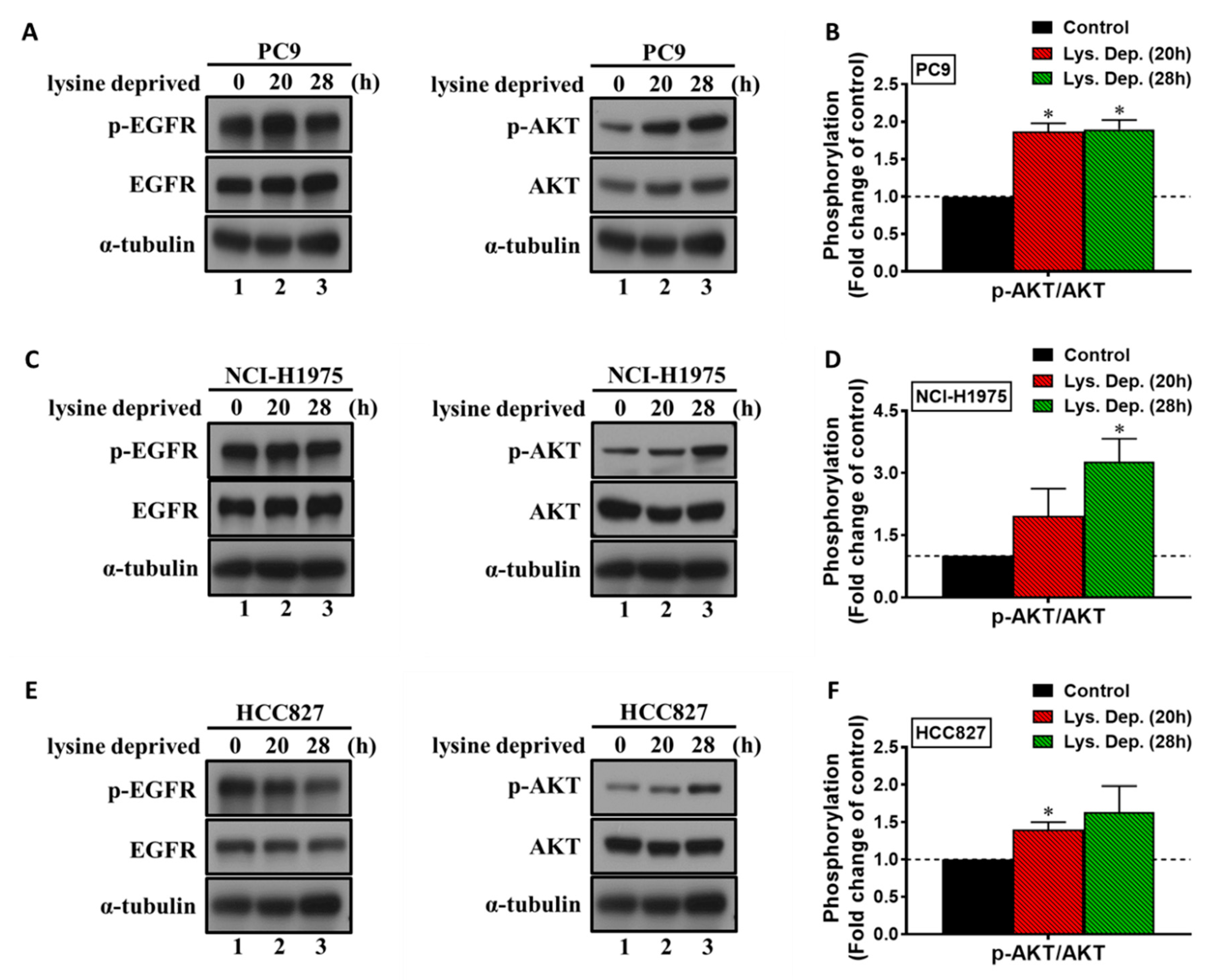 Cancers 13 00272 g005 Cancers 13 00272 g005