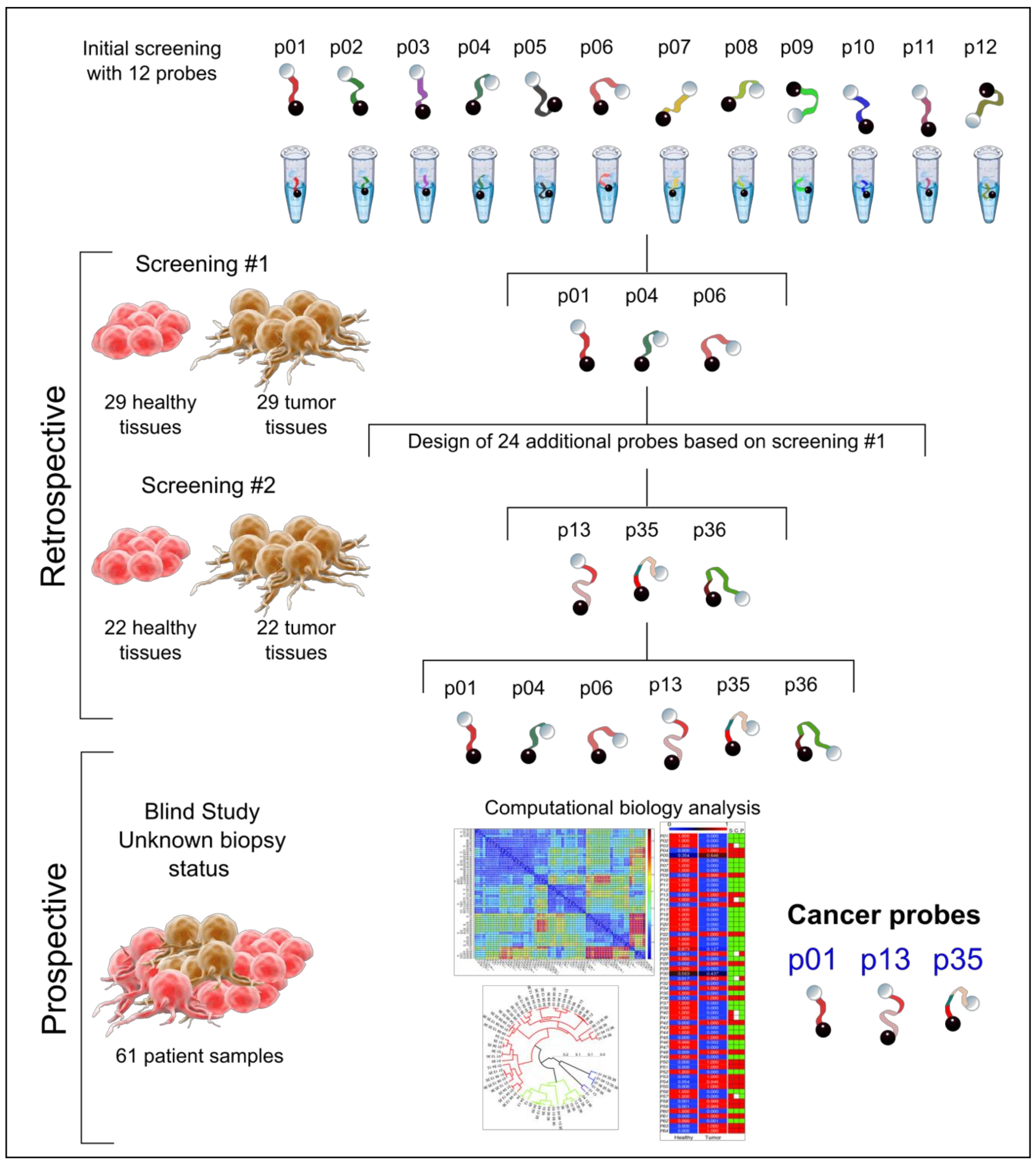 Cancers 13 00276 g001 Cancers 13 00276 g001