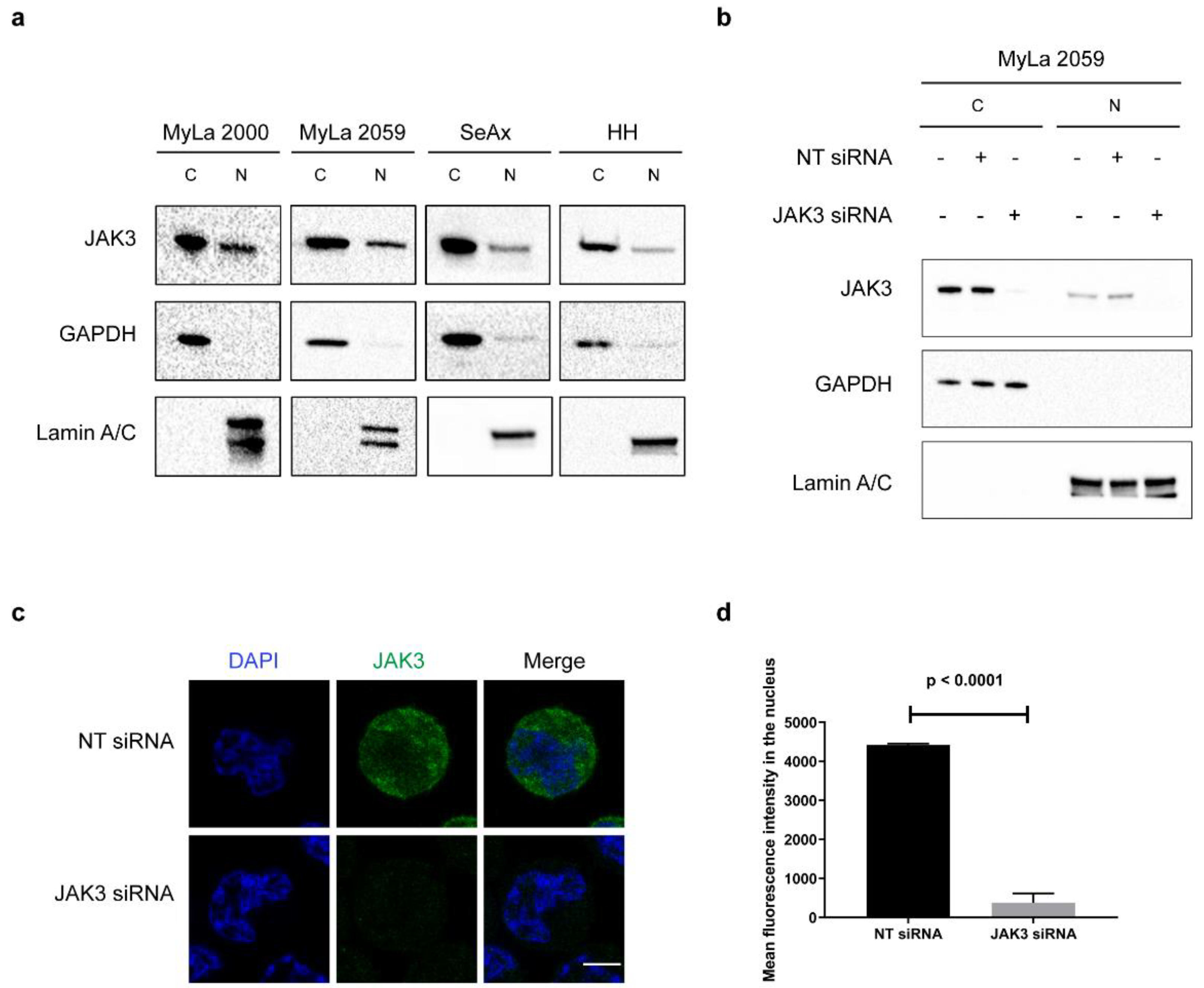 Cancers 13 00280 g001