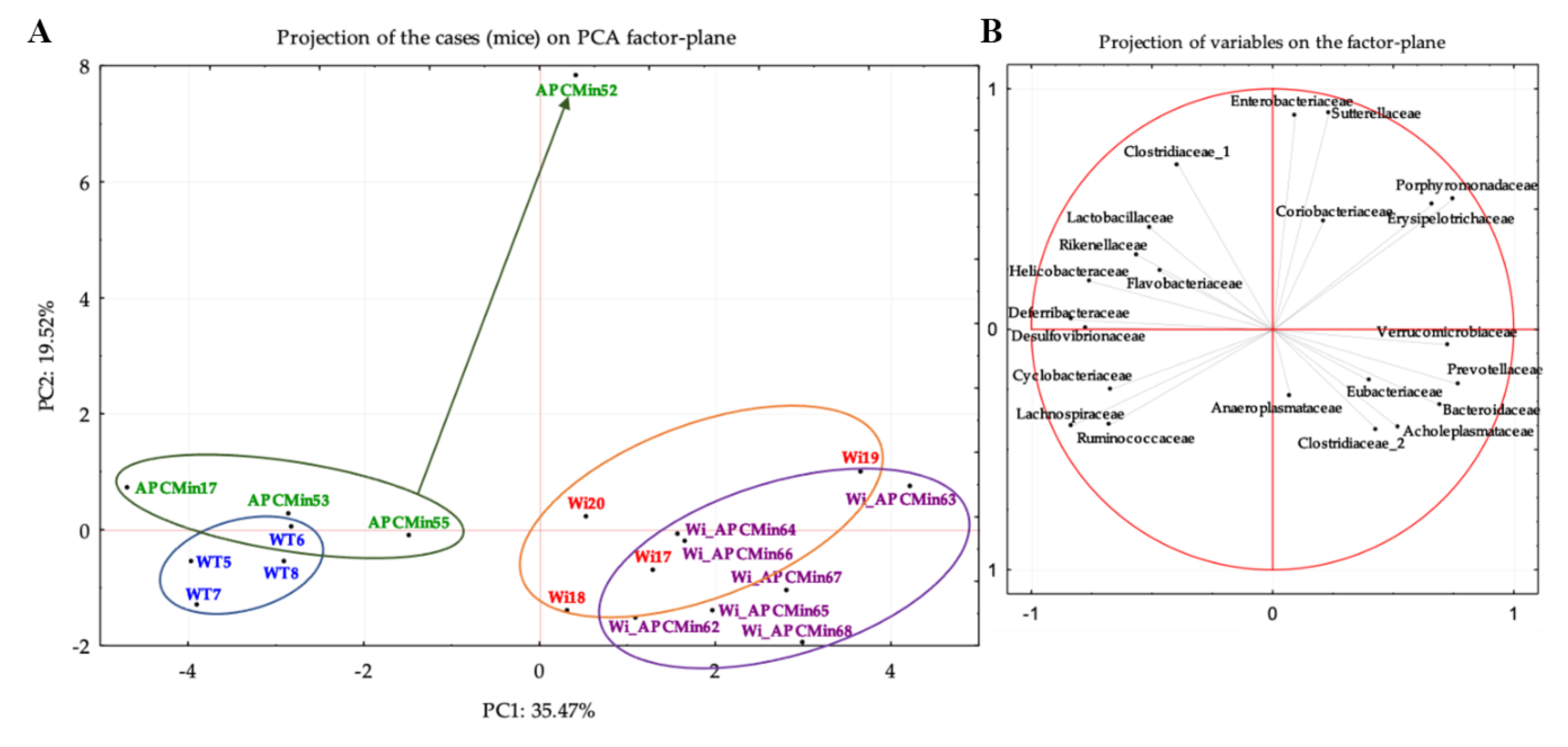 Cancers 13 00283 g002 Cancers 13 00283 g002