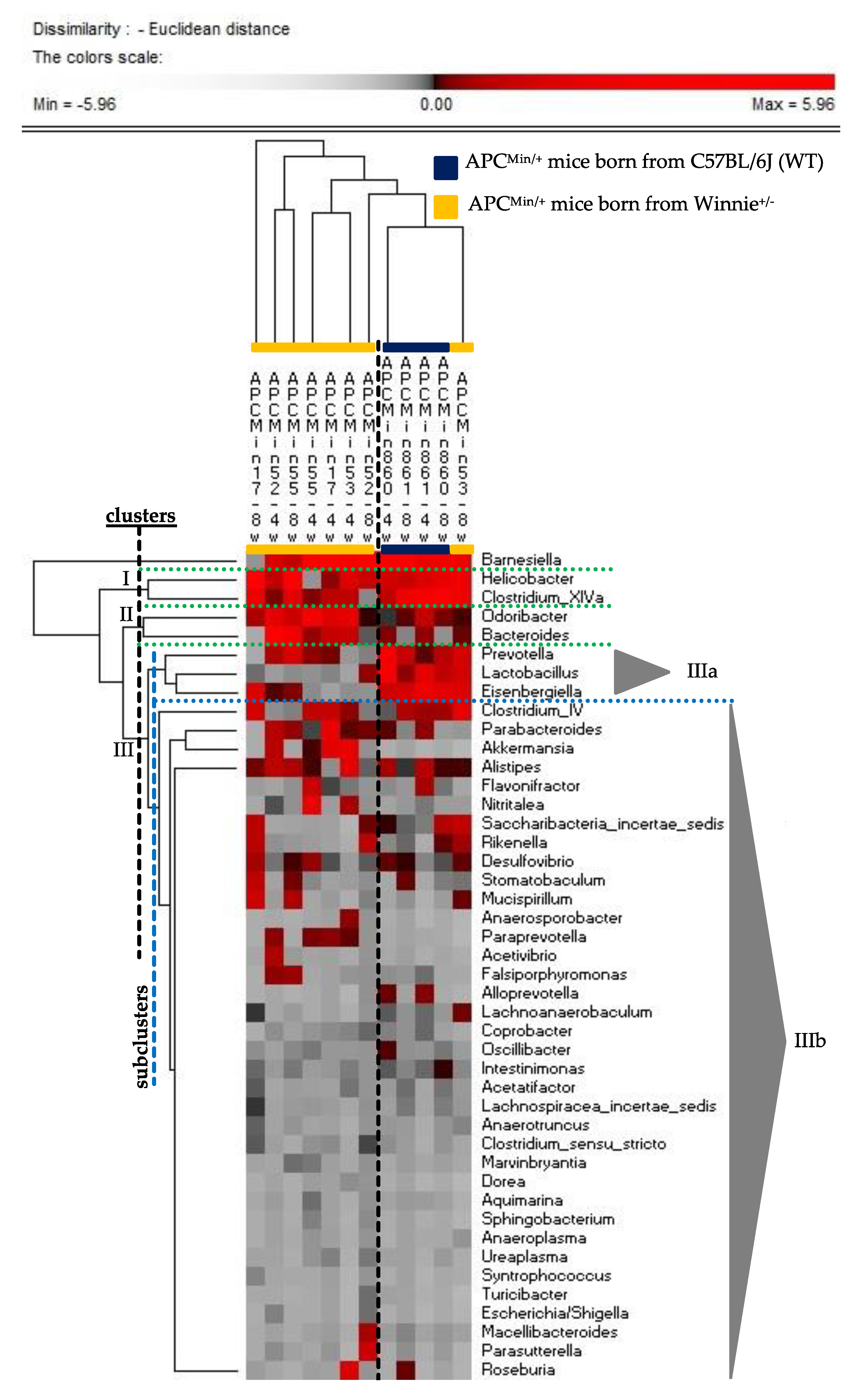 Cancers 13 00283 g004 Cancers 13 00283 g004