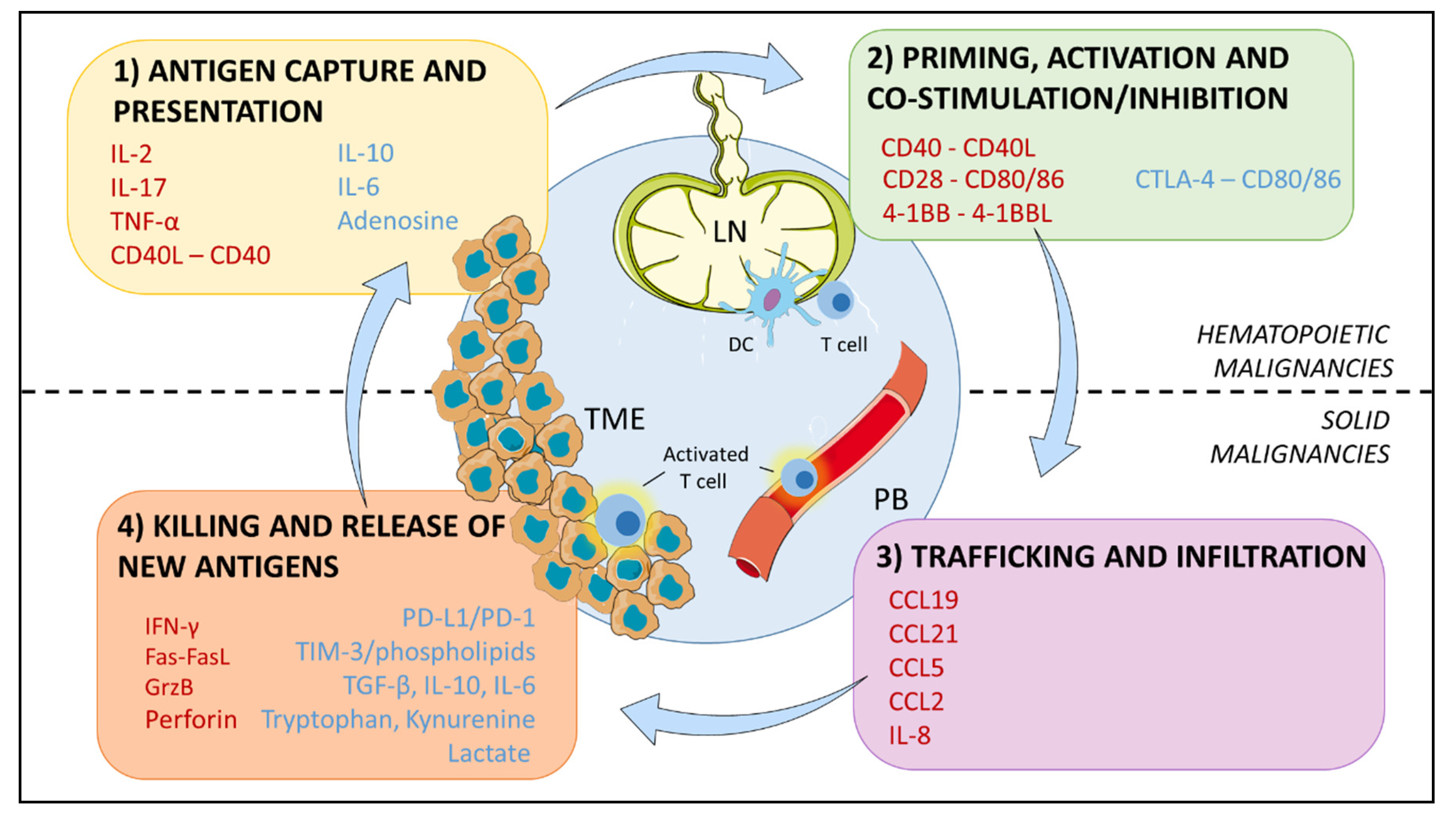 Cancers 13 00284 g001 Cancers 13 00284 g001