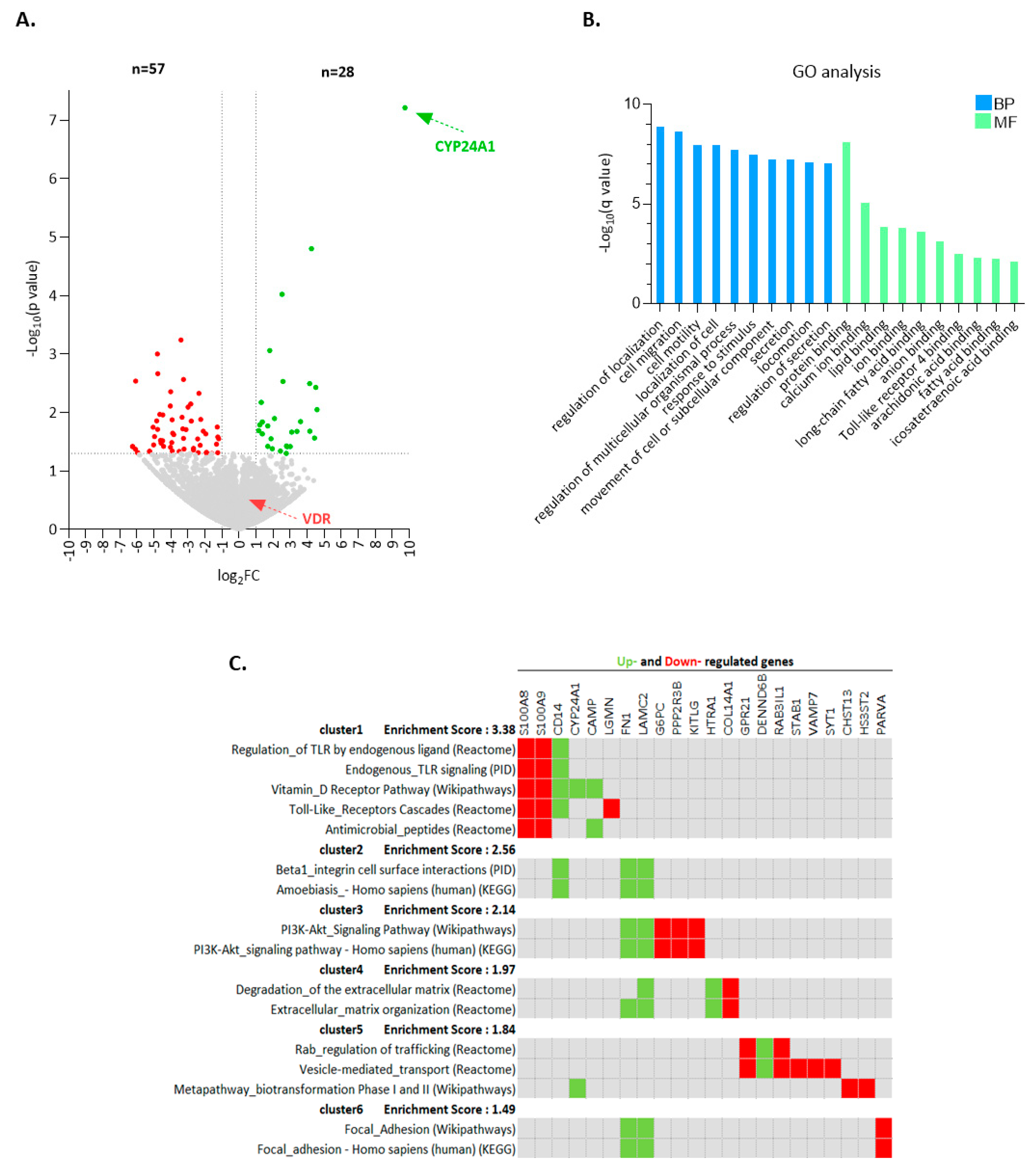 Cancers 13 00285 g002