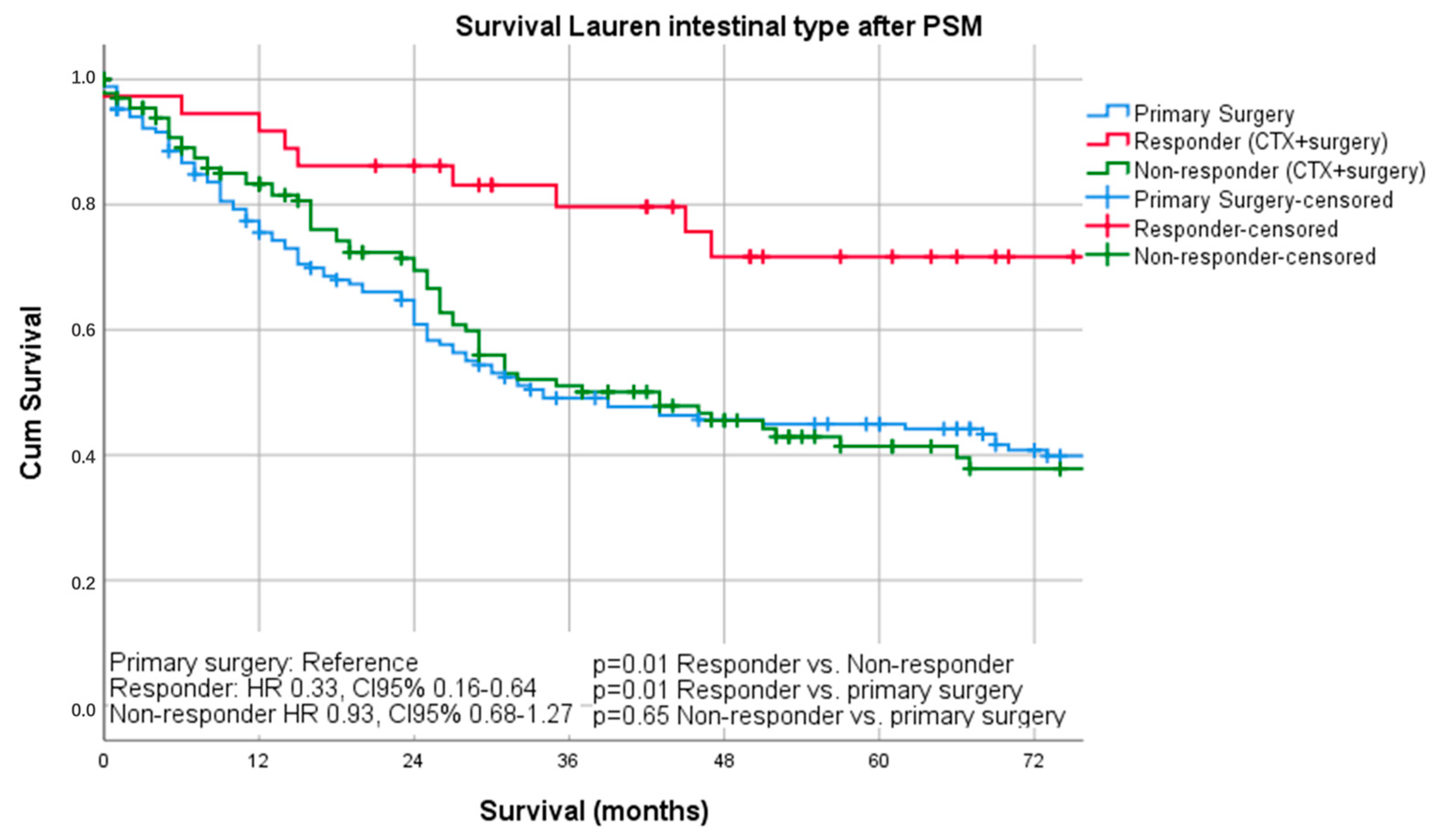Cancers 13 00290 g004