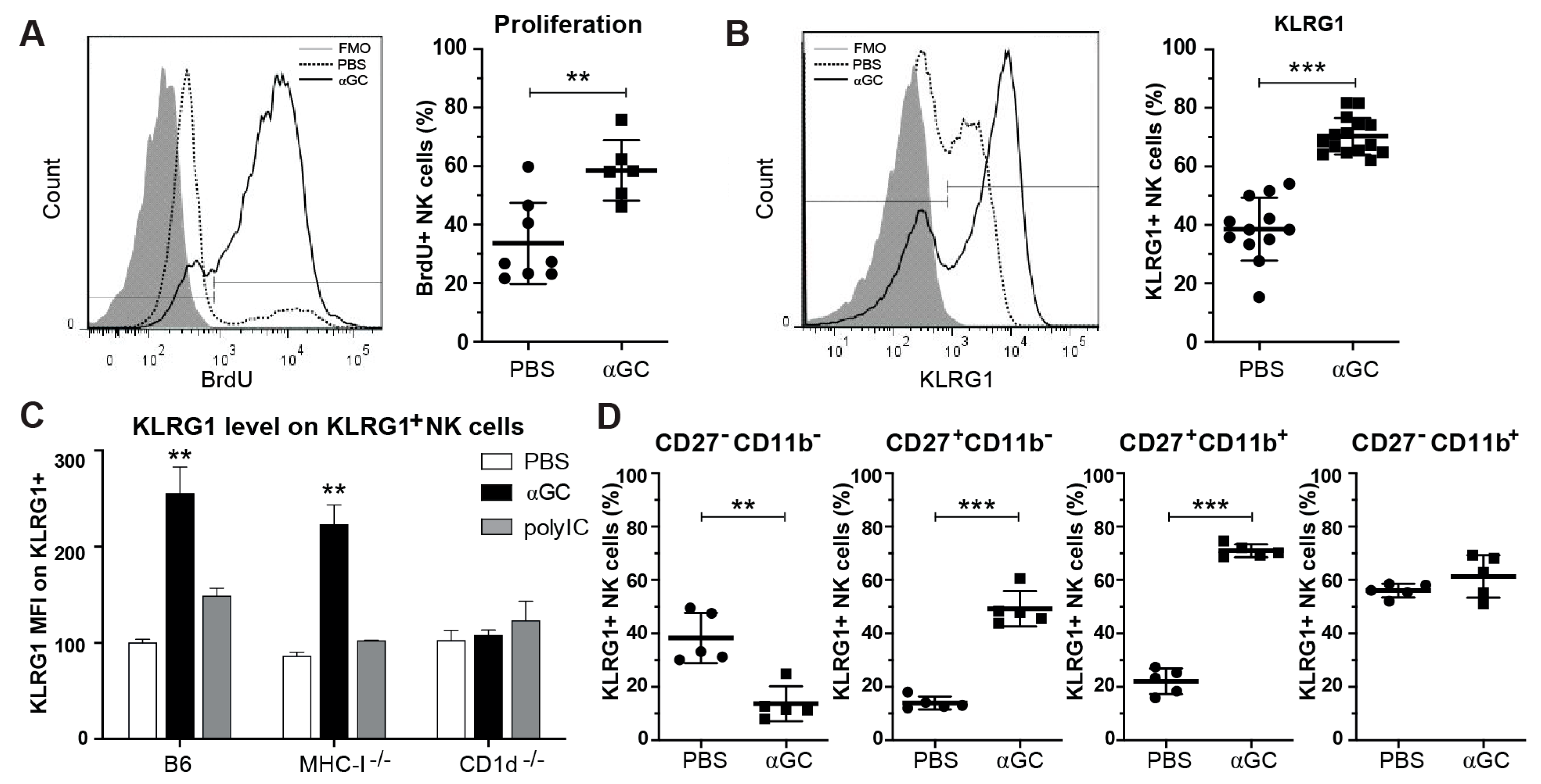 Cancers 13 00298 g001