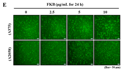 Cancers 13 00303 i001