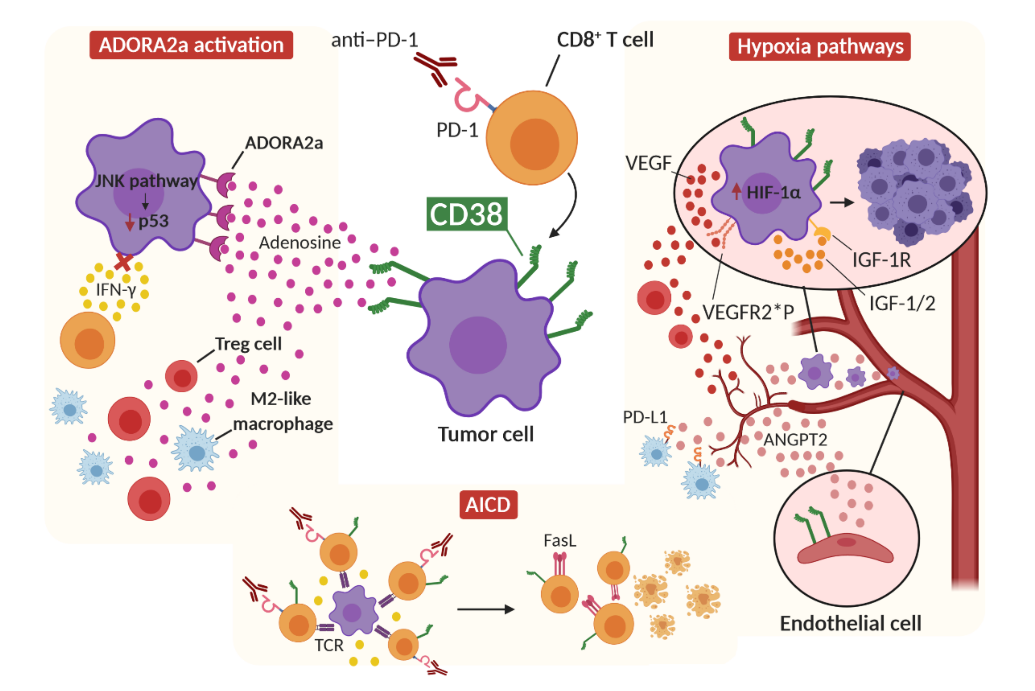 Cancers 13 00309 g003 Cancers 13 00309 g003